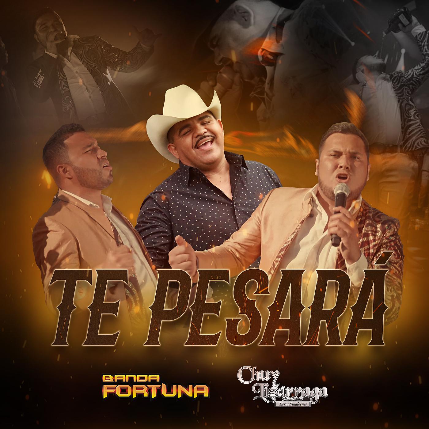 Постер альбома Te Pesará
