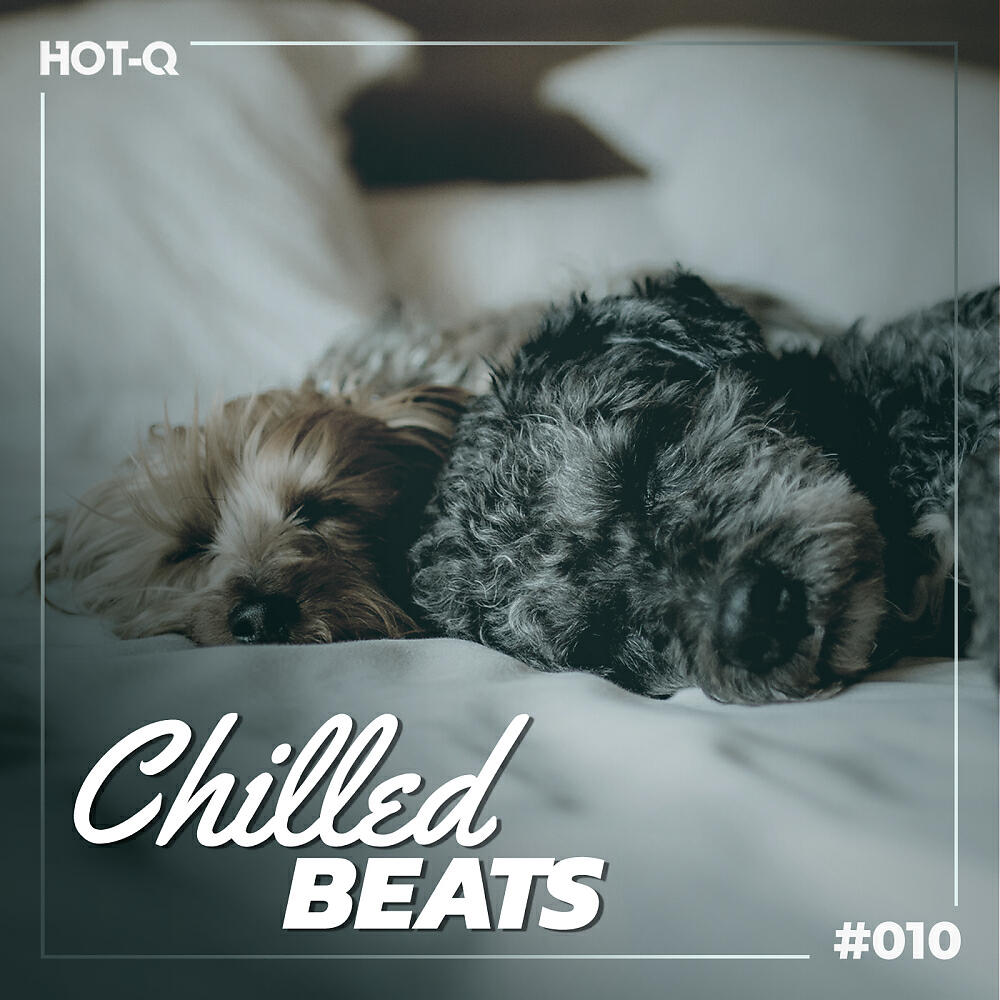 NLO 22 - Escape