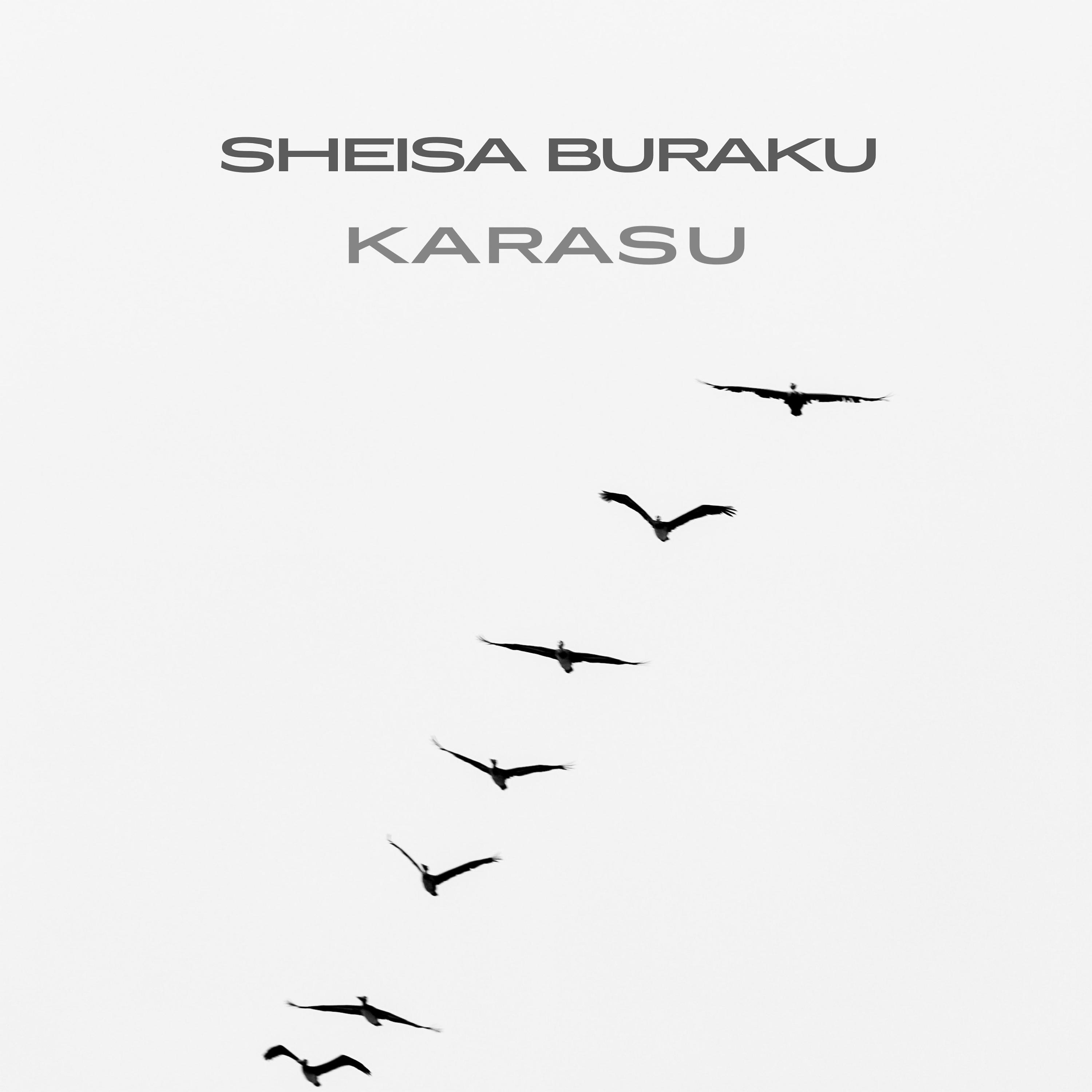 Постер альбома Karasu