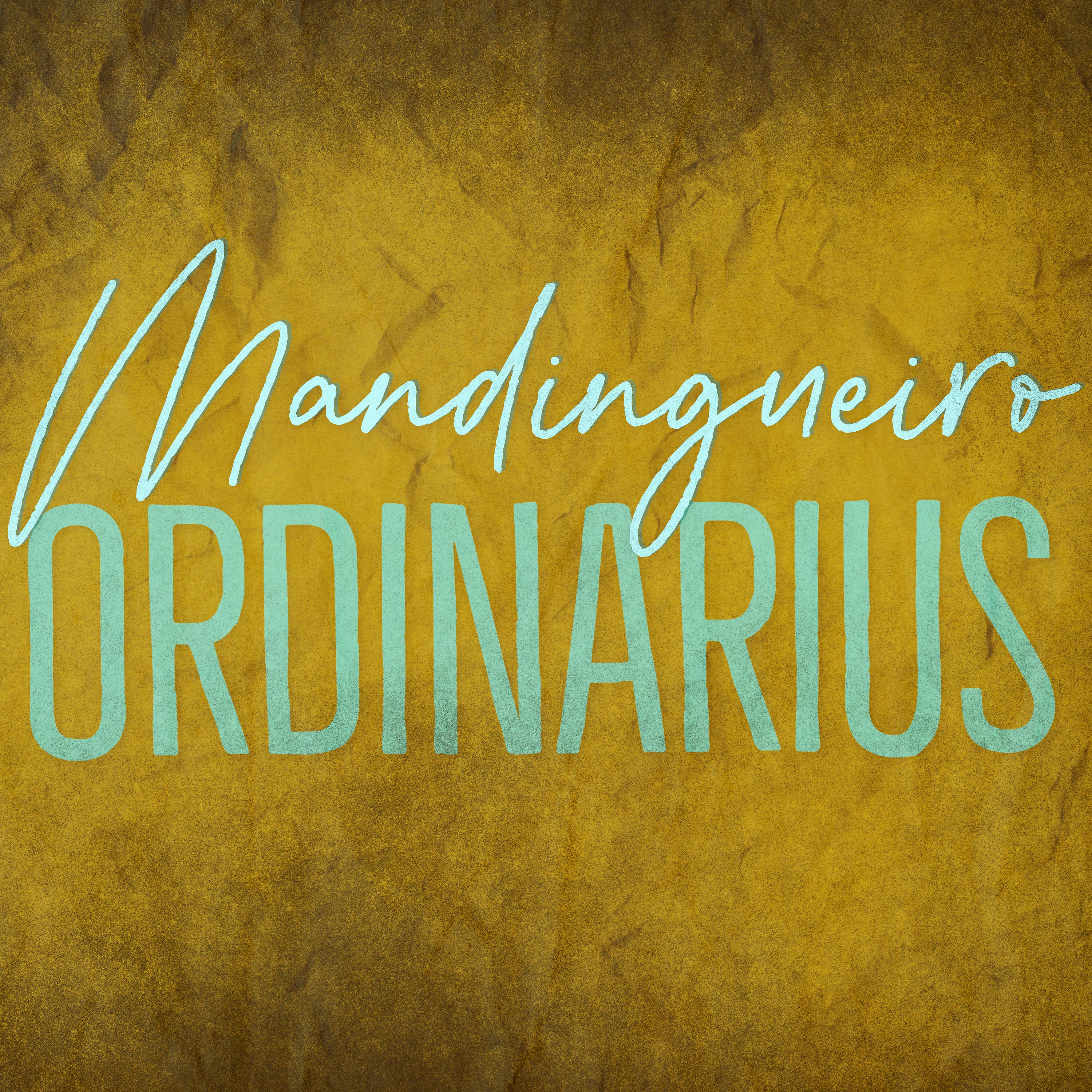 Постер альбома Mandingueiro