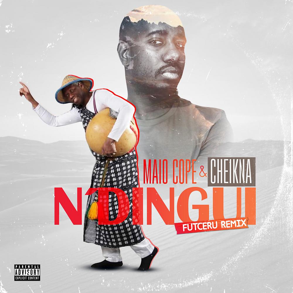 Постер альбома Ndingui (Cheikna Remix)
