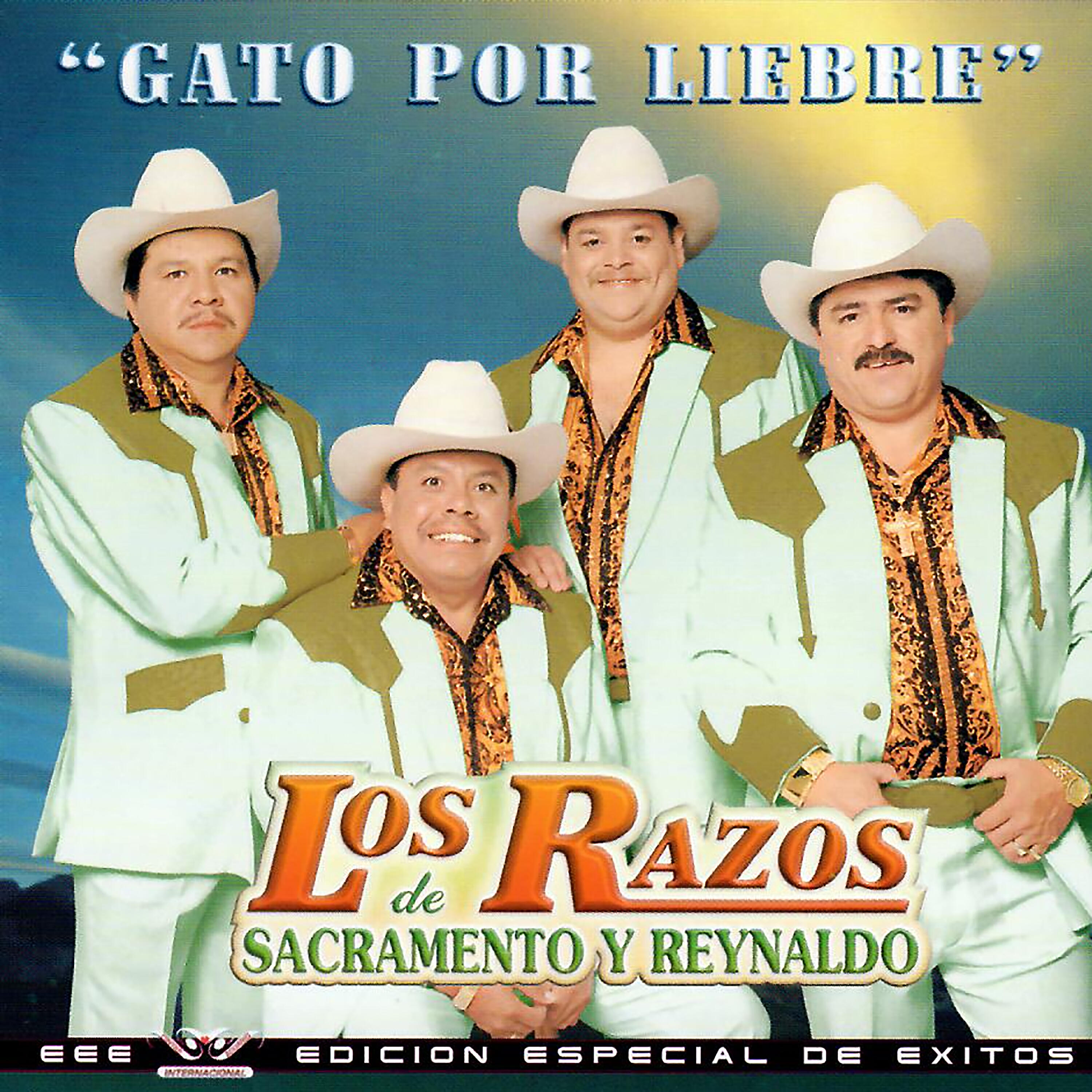 Los Razos - Destrozandome La Vida