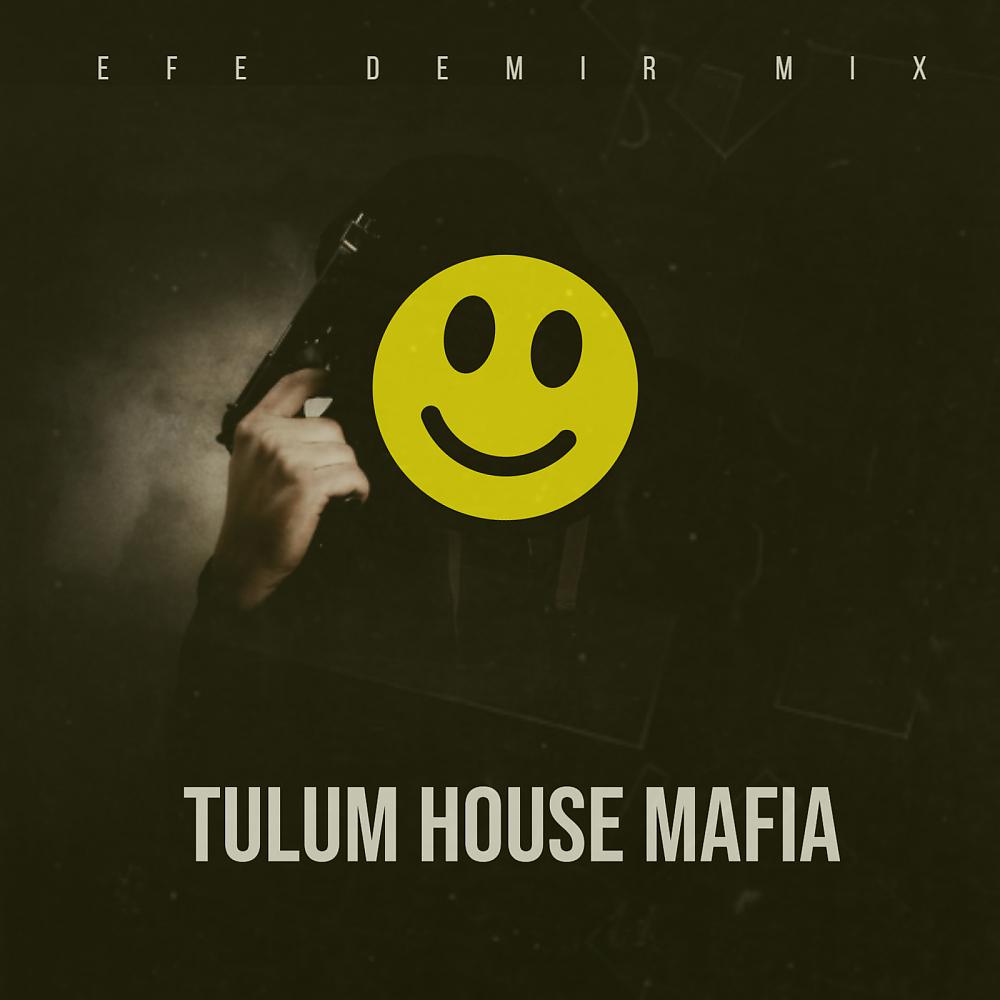 Постер альбома Tulum House Mafia (Organic House Mix)