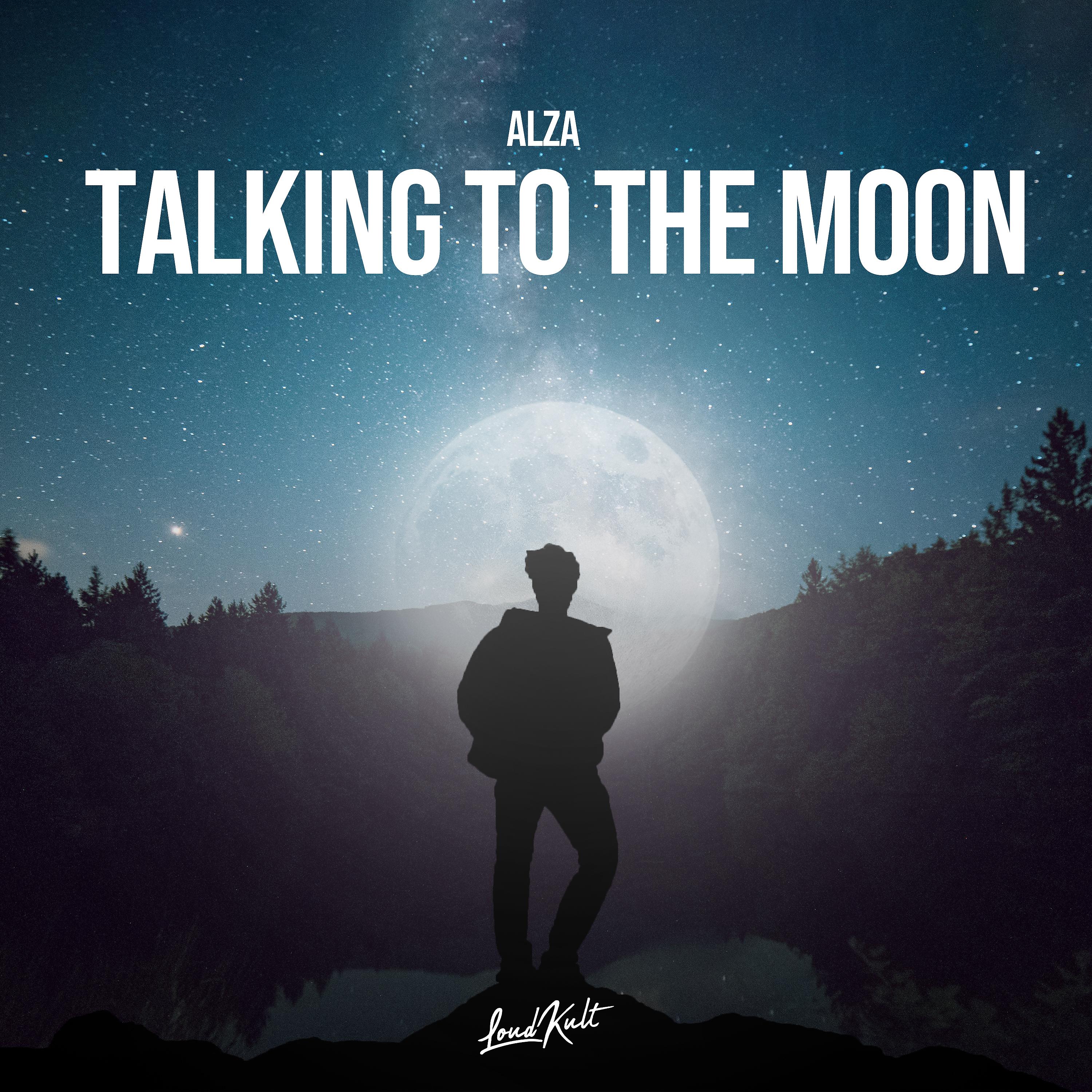 Постер альбома Talking to the Moon