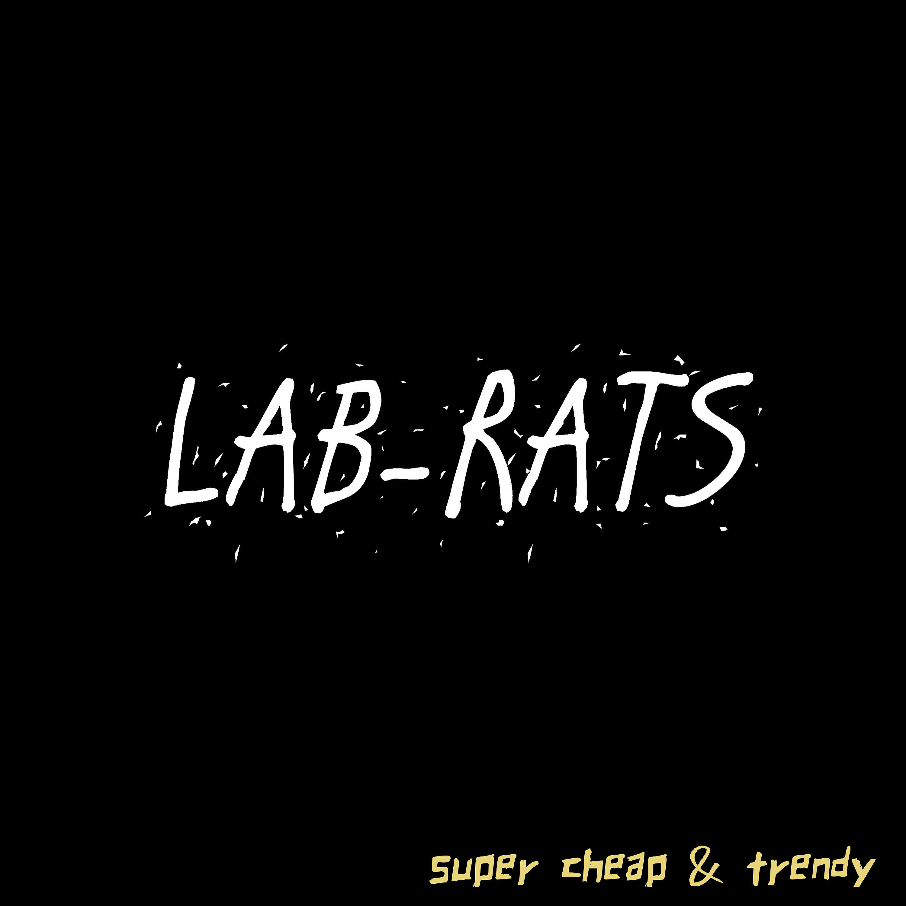 Lab-Rats - Sunny at the Beach