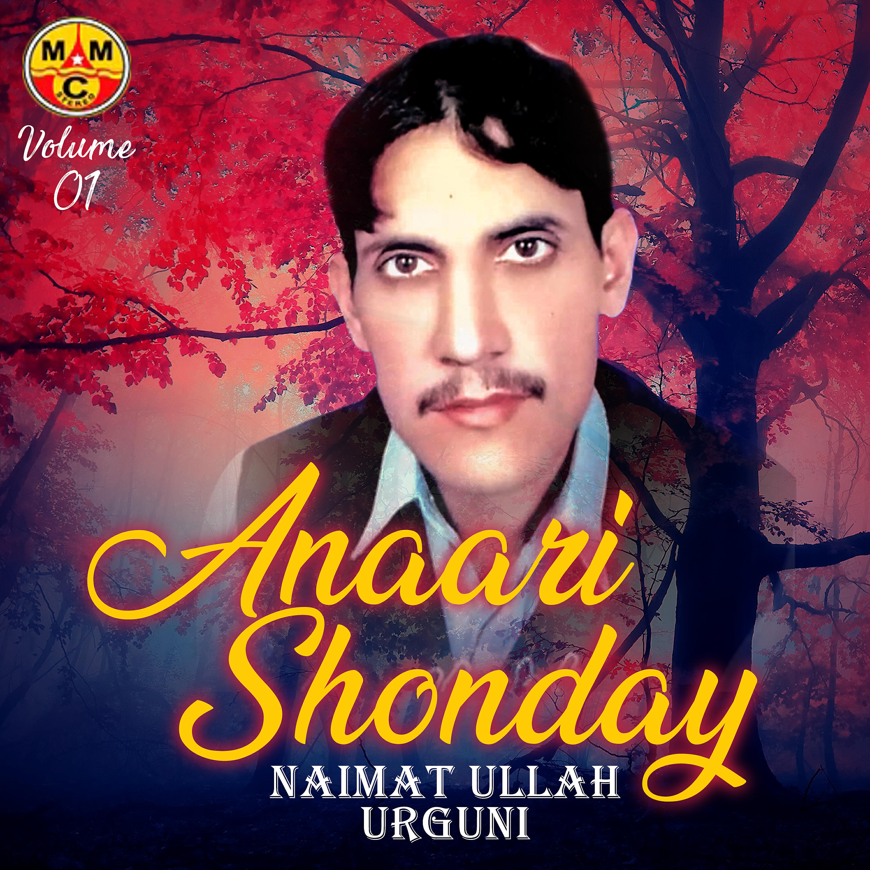 Anaari Shonday - Ashna Qabar Sorai Ka Rasha Attan