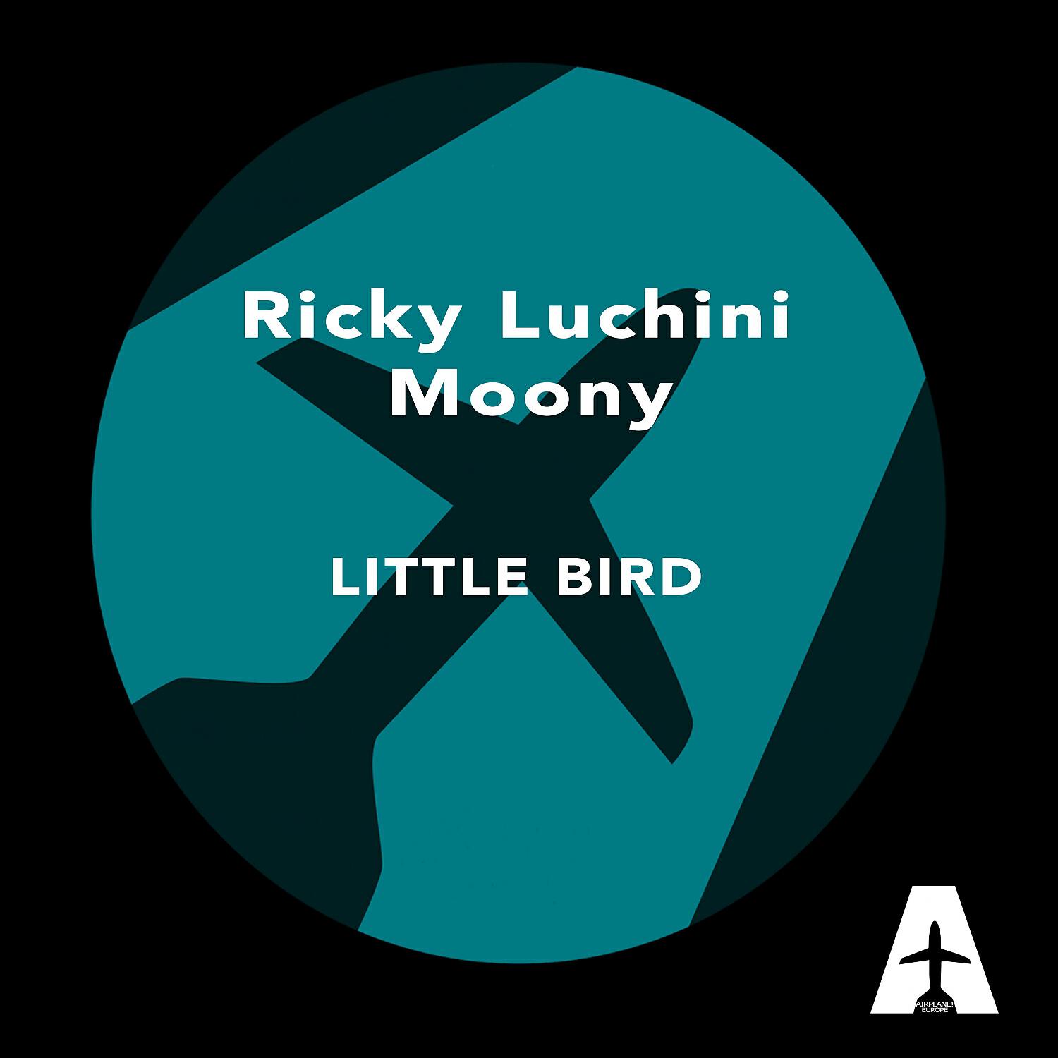 Ricky Luchini - Little Bird (Alex Gaudino & Jason Rooney Remix)