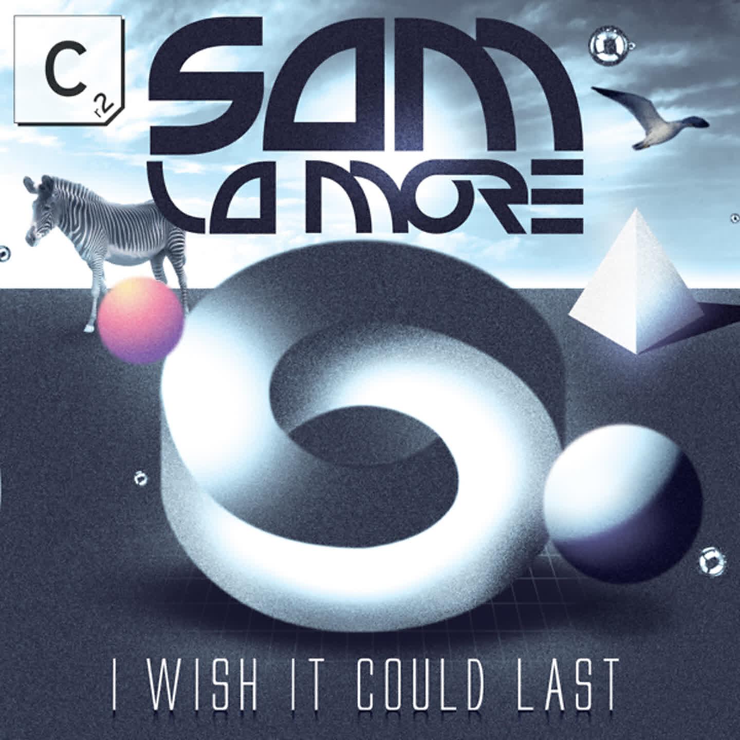 Sam La More - I Wish It Could Last (Hook N Sling Remix)