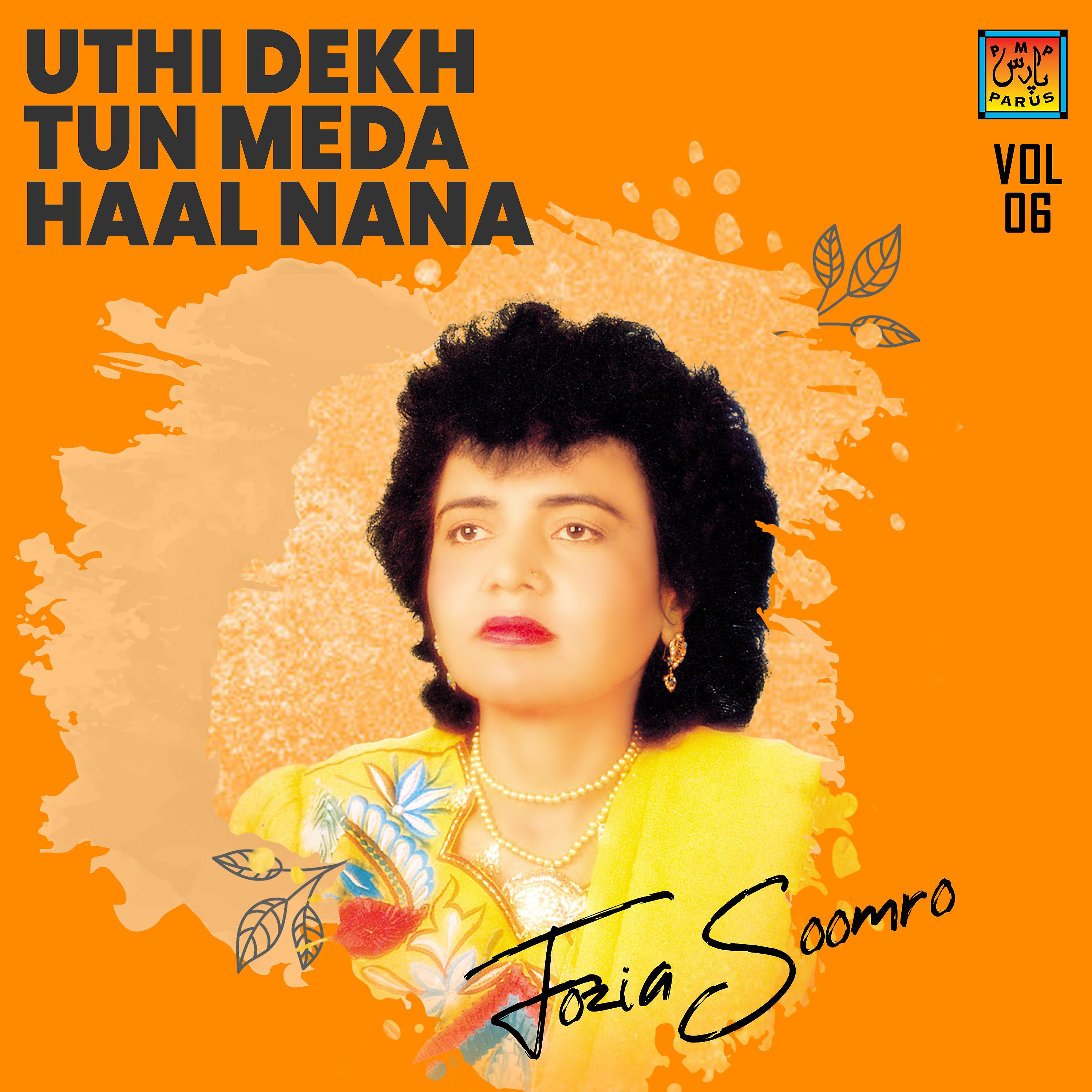 Постер альбома Uthi Dekh Tun Meda Haal Nana, Vol. 06