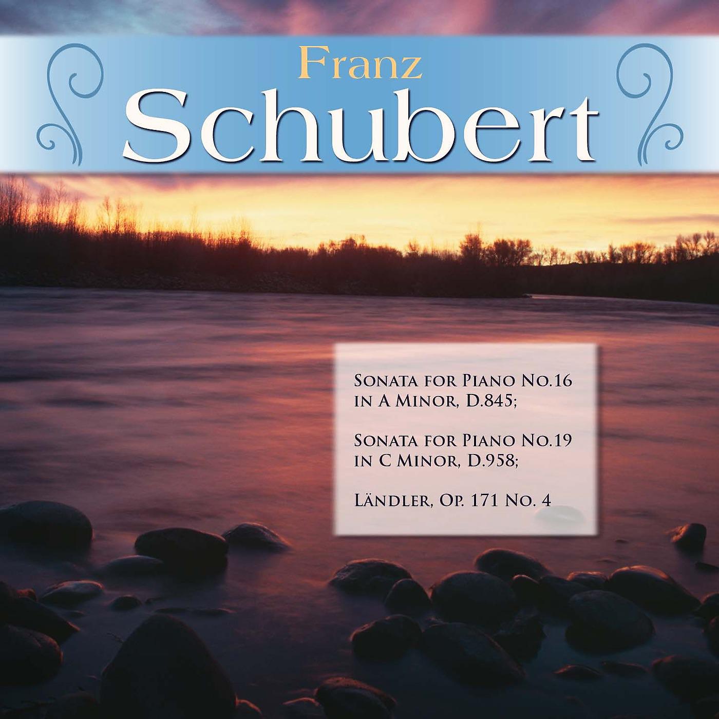 Walter Klien;Franz Schubert - Sonata for Piano No.19 in C Minor, D.958: III. Menuetto - Allegro