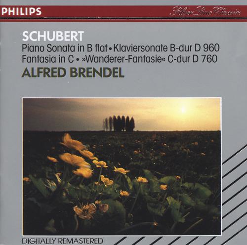 Постер альбома Schubert: Piano Sonata in B flat; Fantasy in C