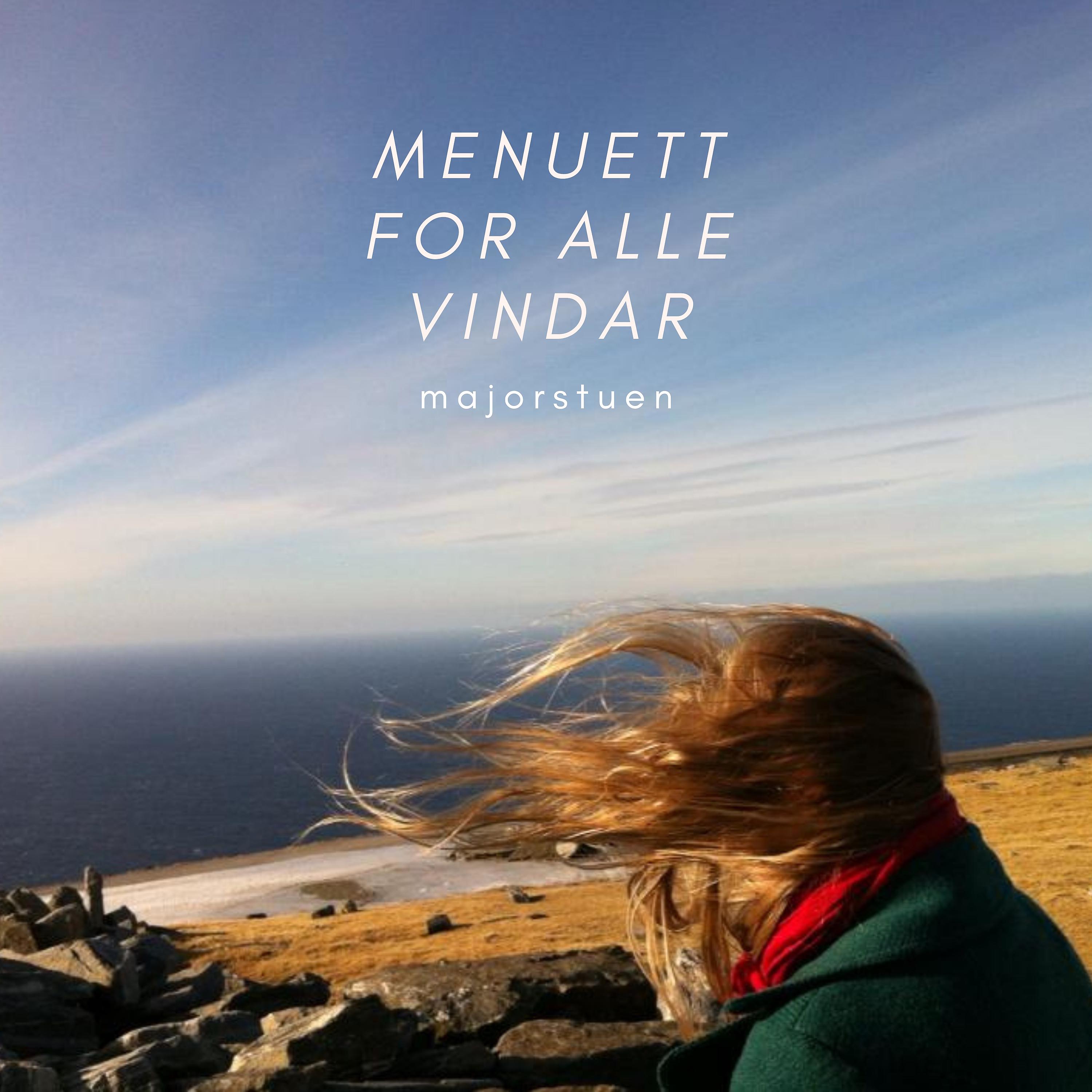 Постер альбома Menuett for Alle Vindar