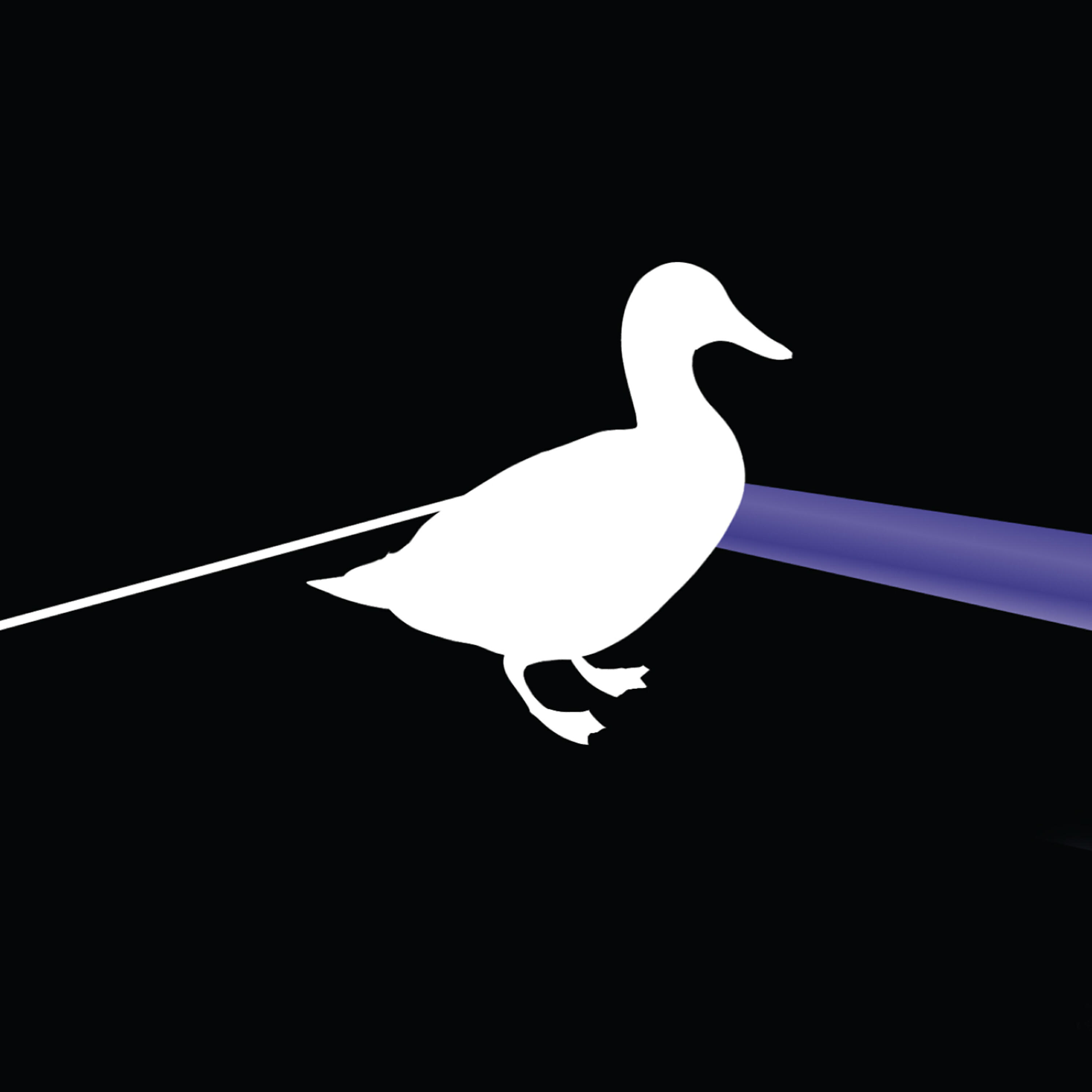 Duck music. Purple Duck. Duckside обложка. Duck Side of the Moon. Duckside Playtest.