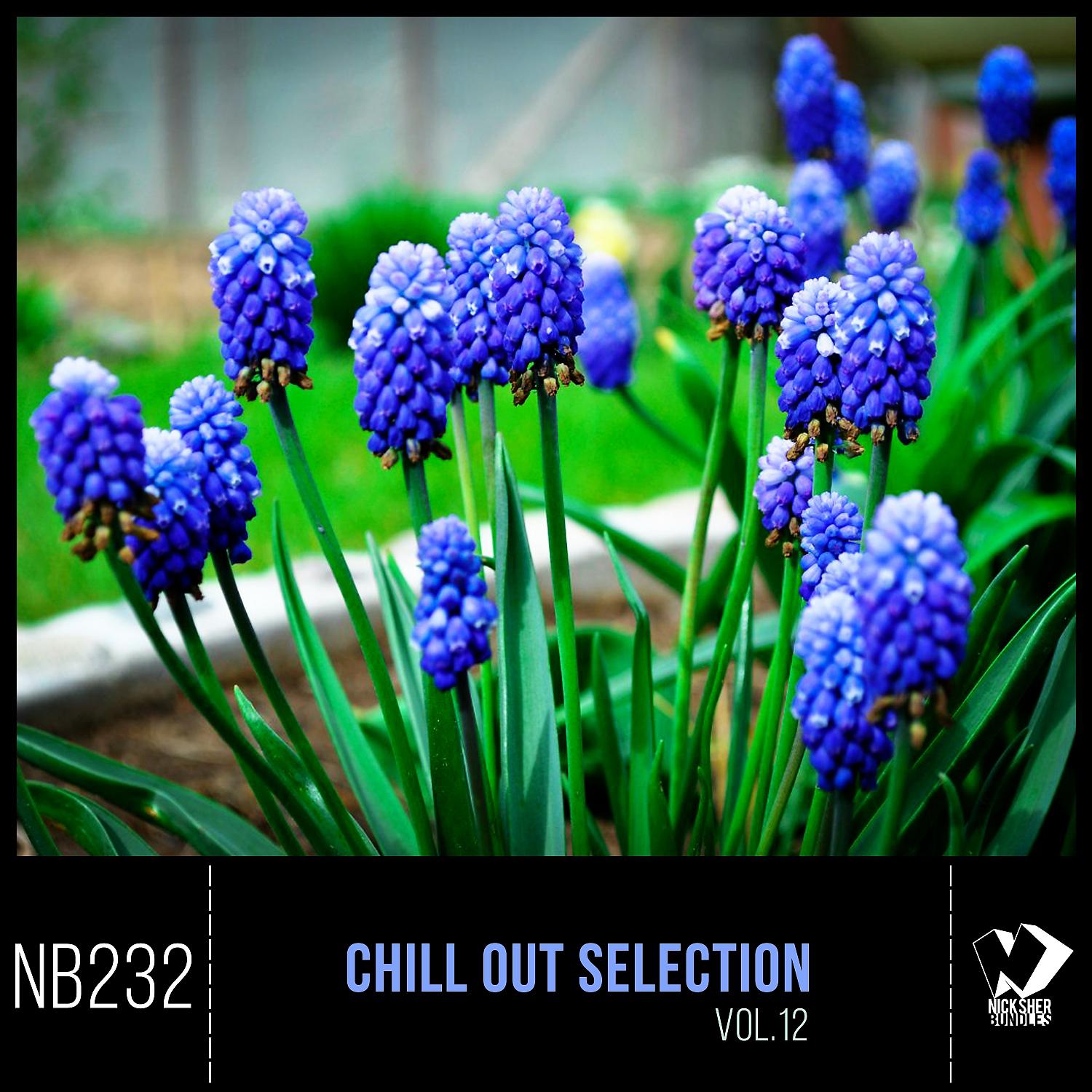 Постер альбома Chill out Selection, Vol. 12