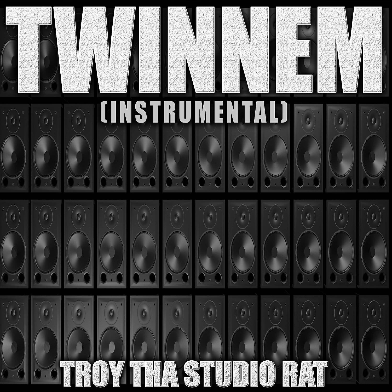Troy Tha Studio Rat - Twinnem (Originally Performed by Coi Leray) (Instrumental)