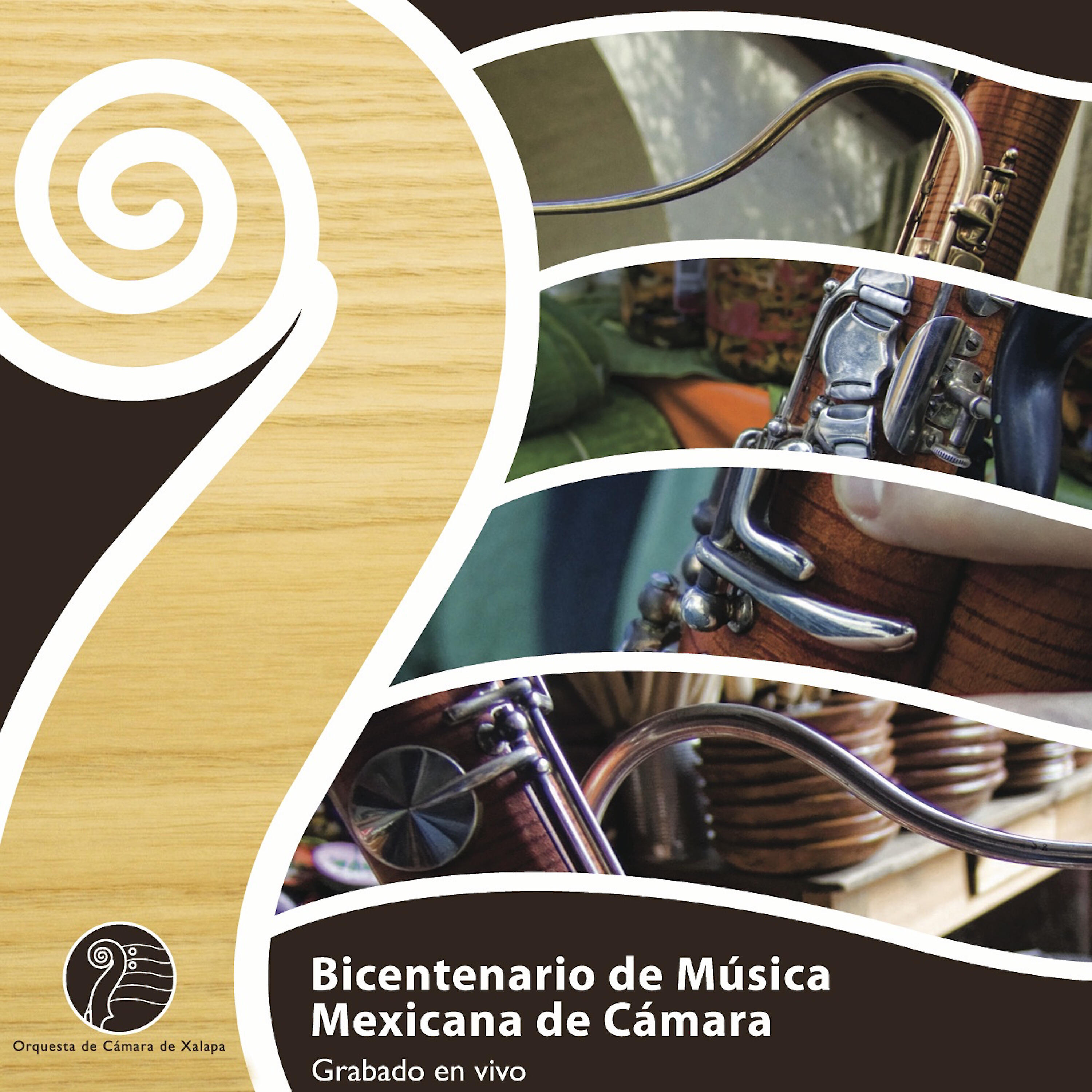 Rubén Flores - Concertino para violín y orquesta de cuerdas: II. Andante