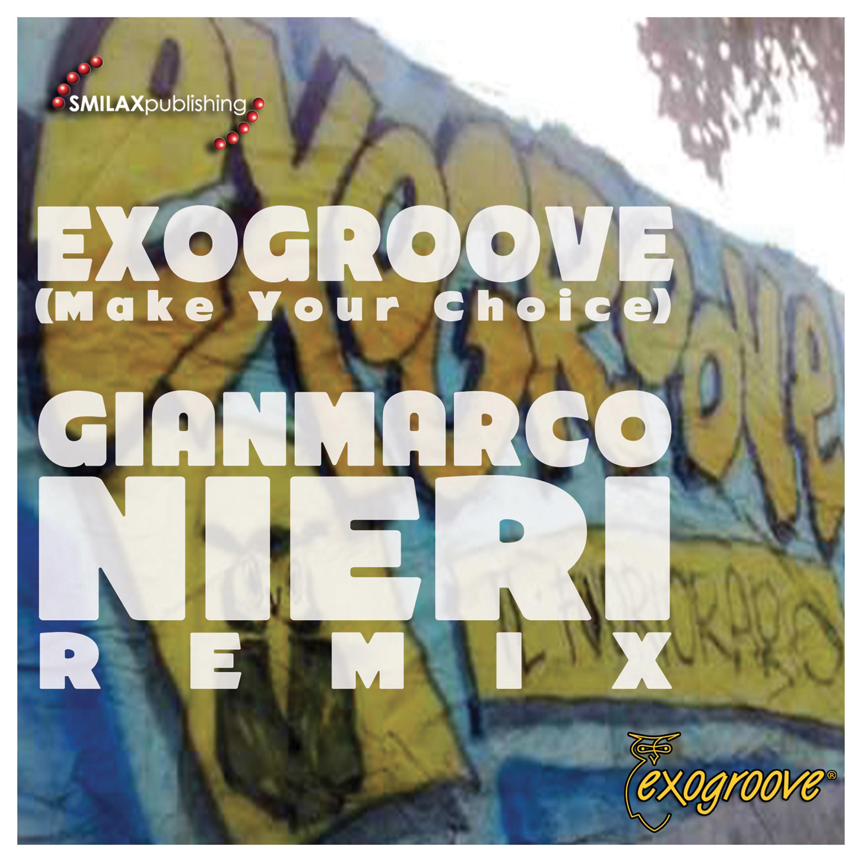 Постер альбома Exogroove (Make Your Choice)