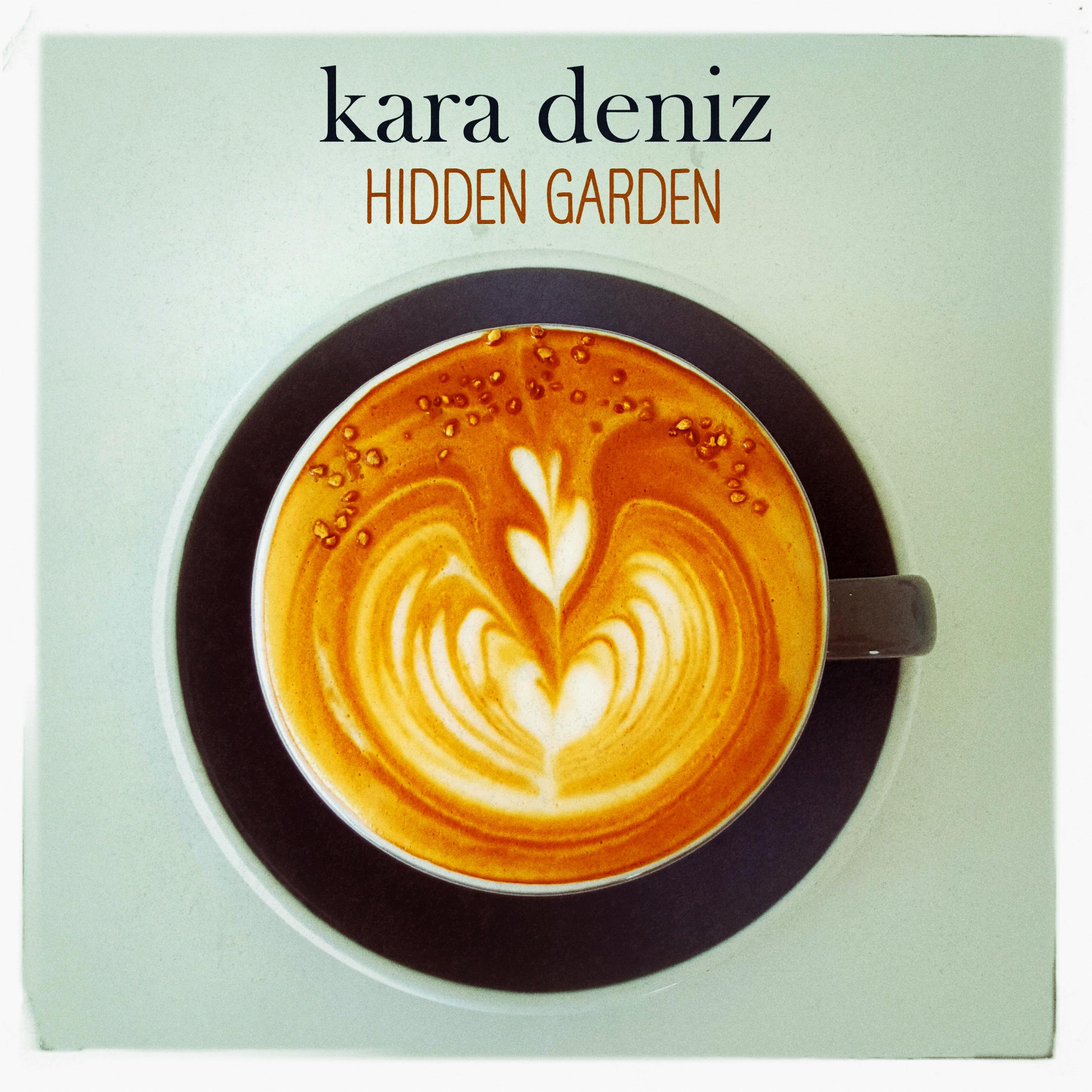 Постер альбома Hidden Garden