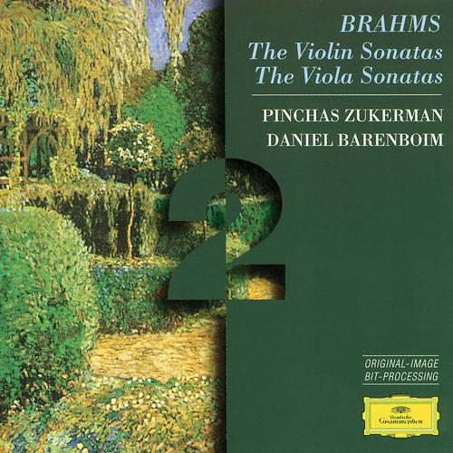 Постер альбома Brahms: The Violin Sonatas; The Viola Sonatas