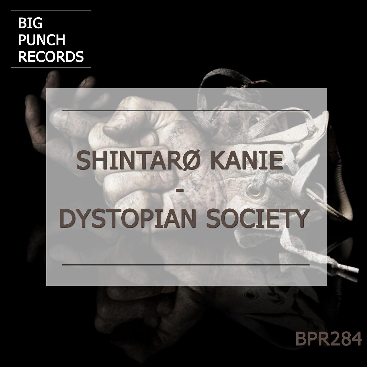 Shintarø Kanie - Dystopian Society (Original Mix)