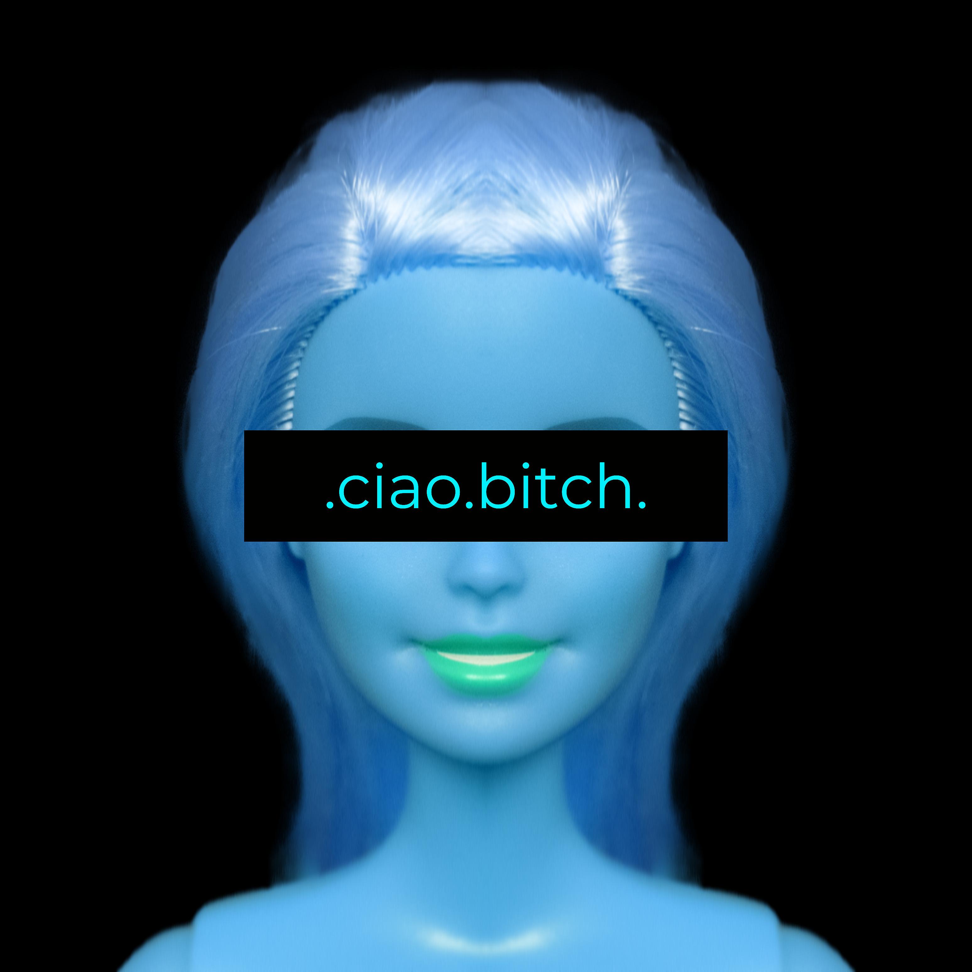 Постер альбома .ciao.bitch.