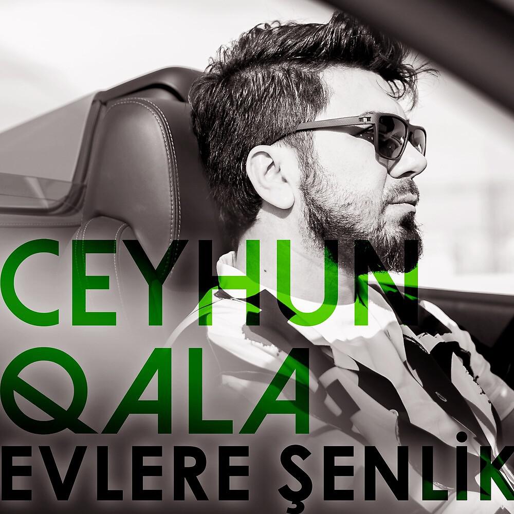 Постер альбома Evlere Şenlik