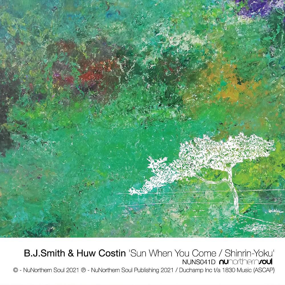Постер альбома Sun When You Come / Shinrin-Yoku
