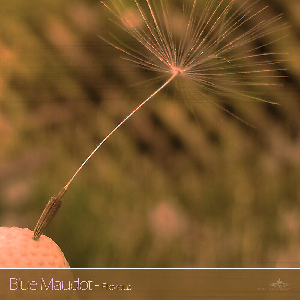 Blue Maudot - Previous