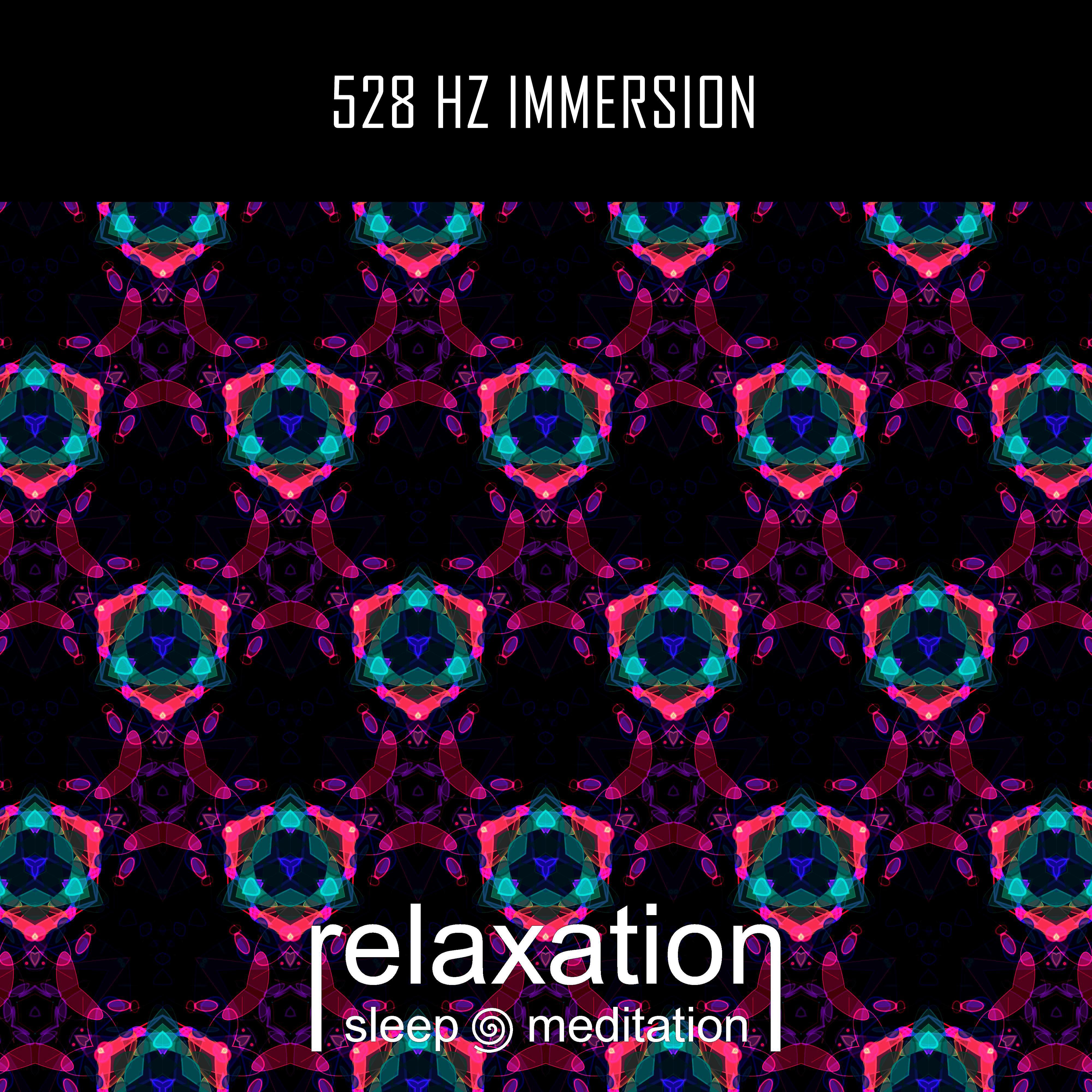 Постер альбома 528 Hz Immersion