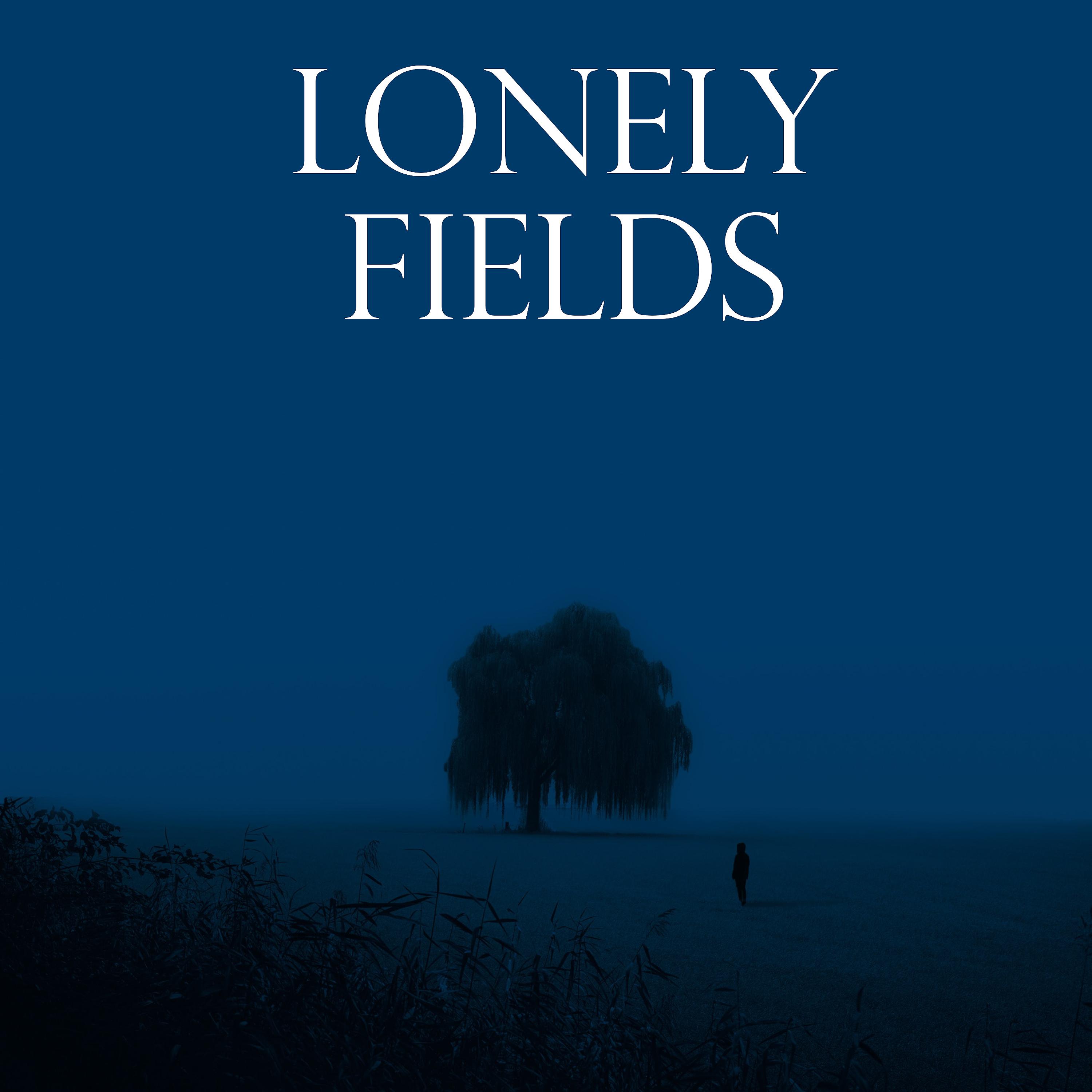 Постер альбома Lonely Fields