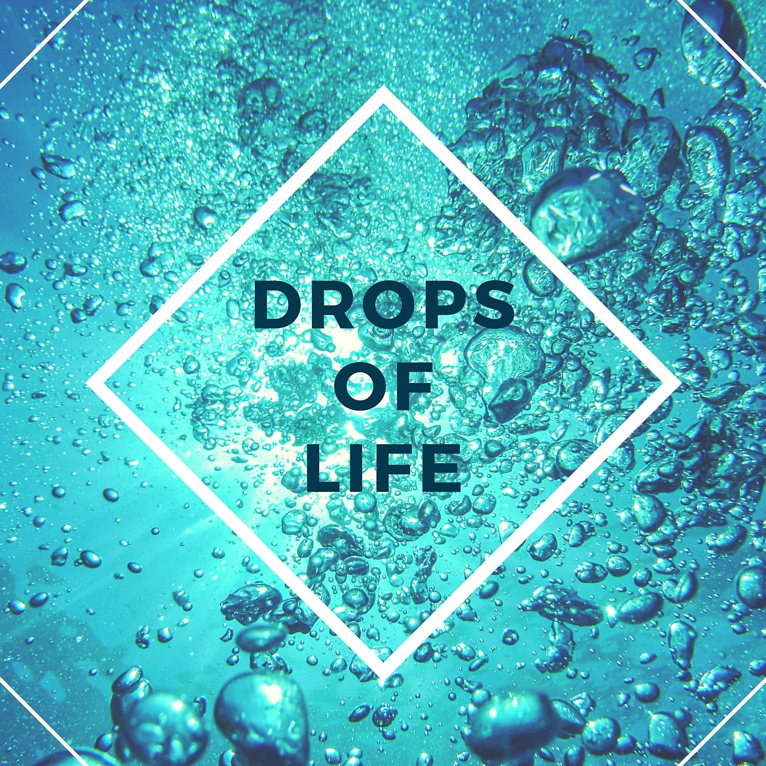 Постер альбома Drops of Life