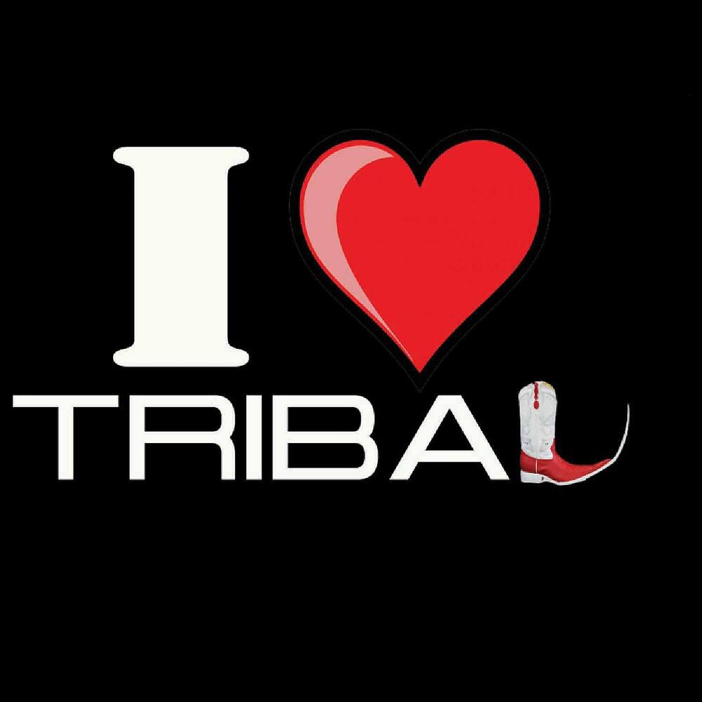 Постер альбома I Love Tribal (Tribal Mixes)
