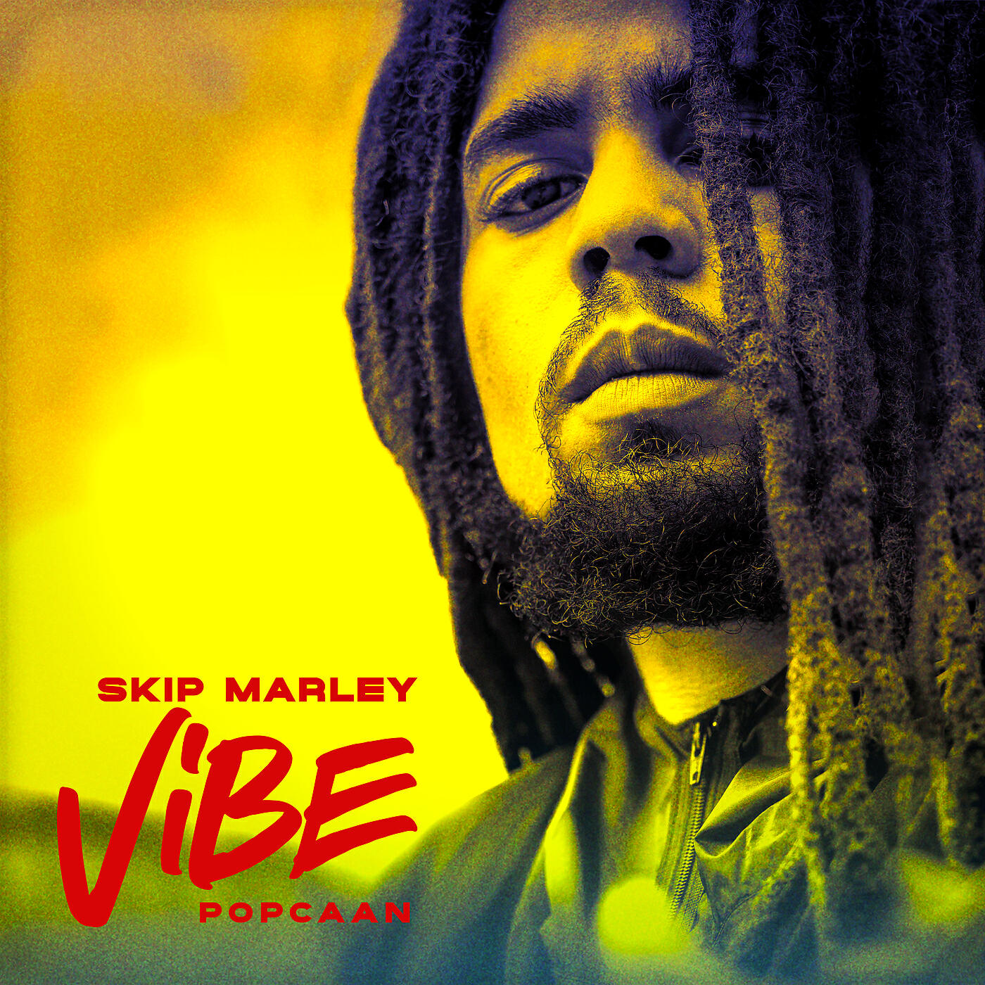 Skip Marley - Vibe