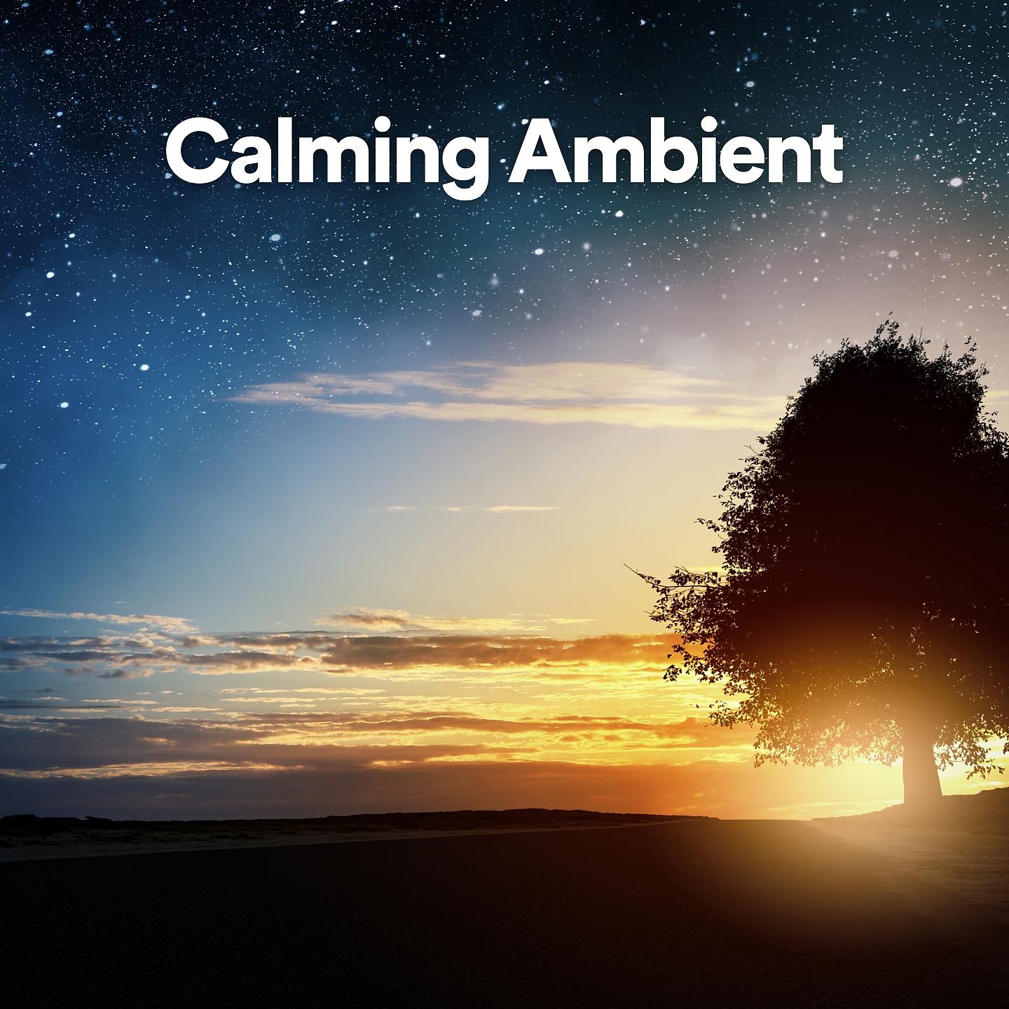Постер альбома Calming Ambient