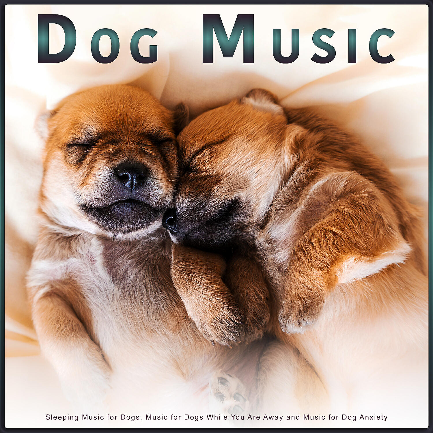 Sleeping Music For Dogs - Music for Pets and Animals