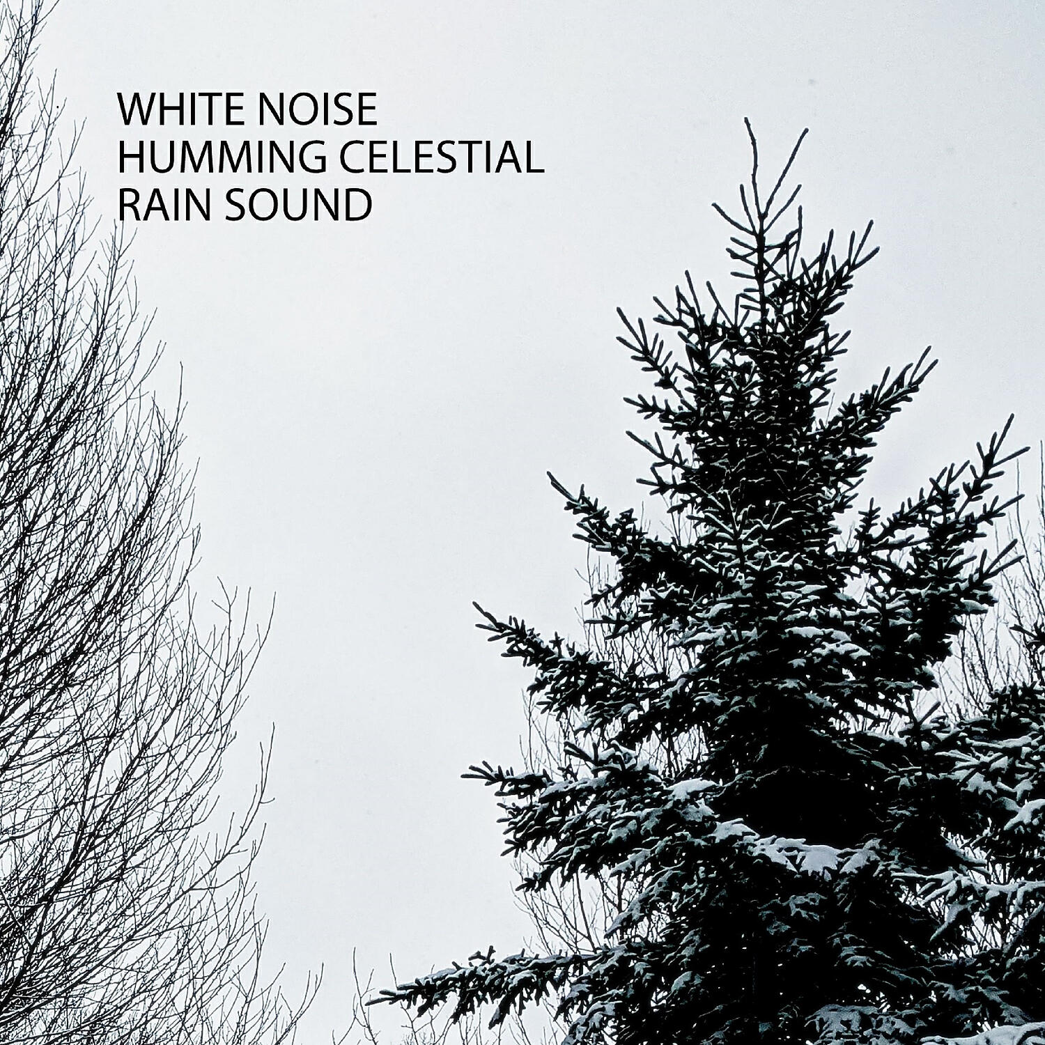 The Solfeggio Peace Orchestra - Mending Rain Sound
