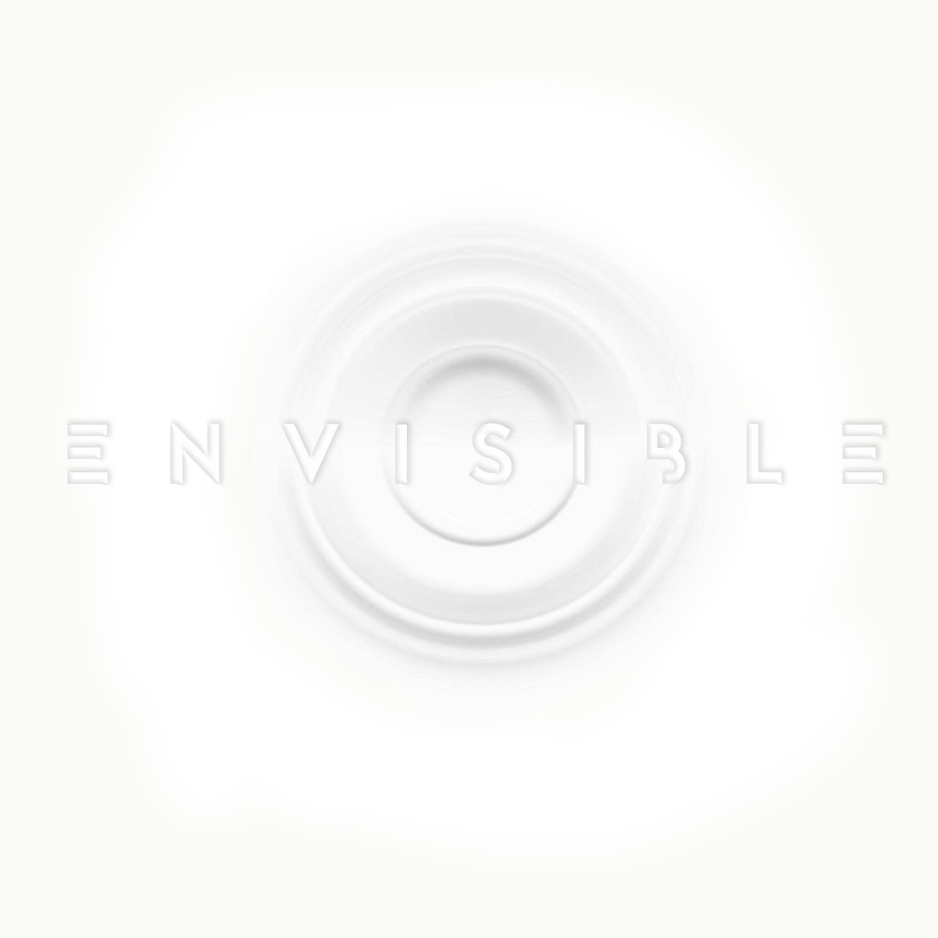 Постер альбома Envisible