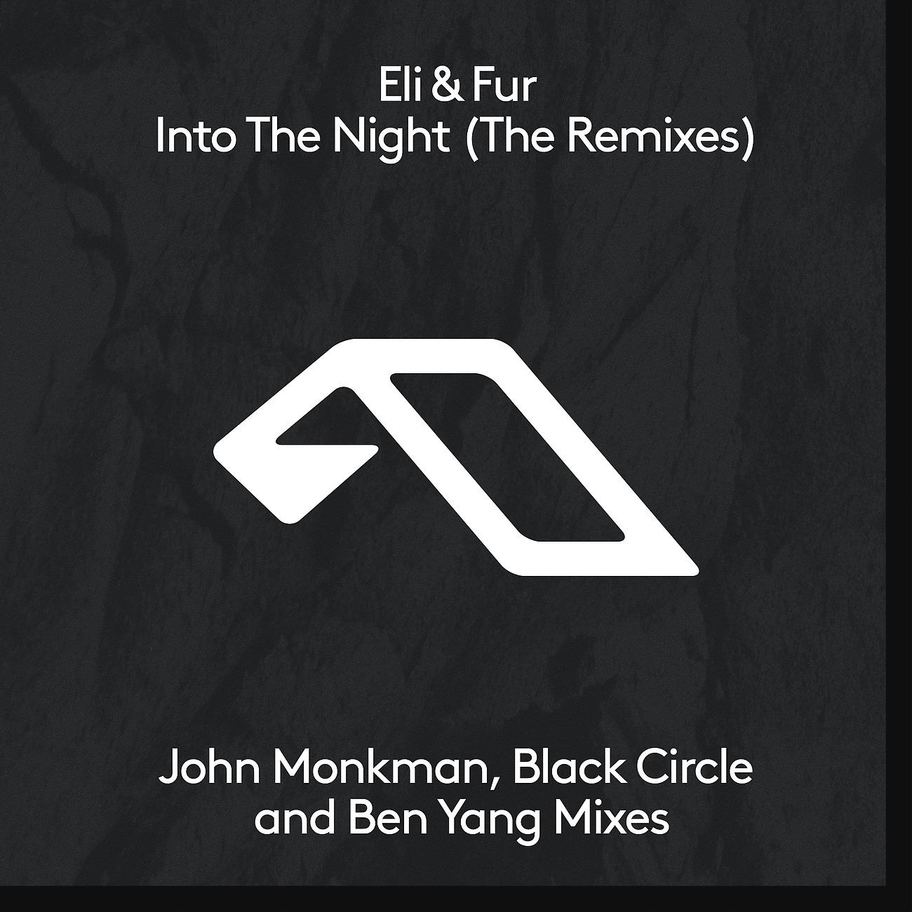 Постер альбома Into The Night (The Remixes)