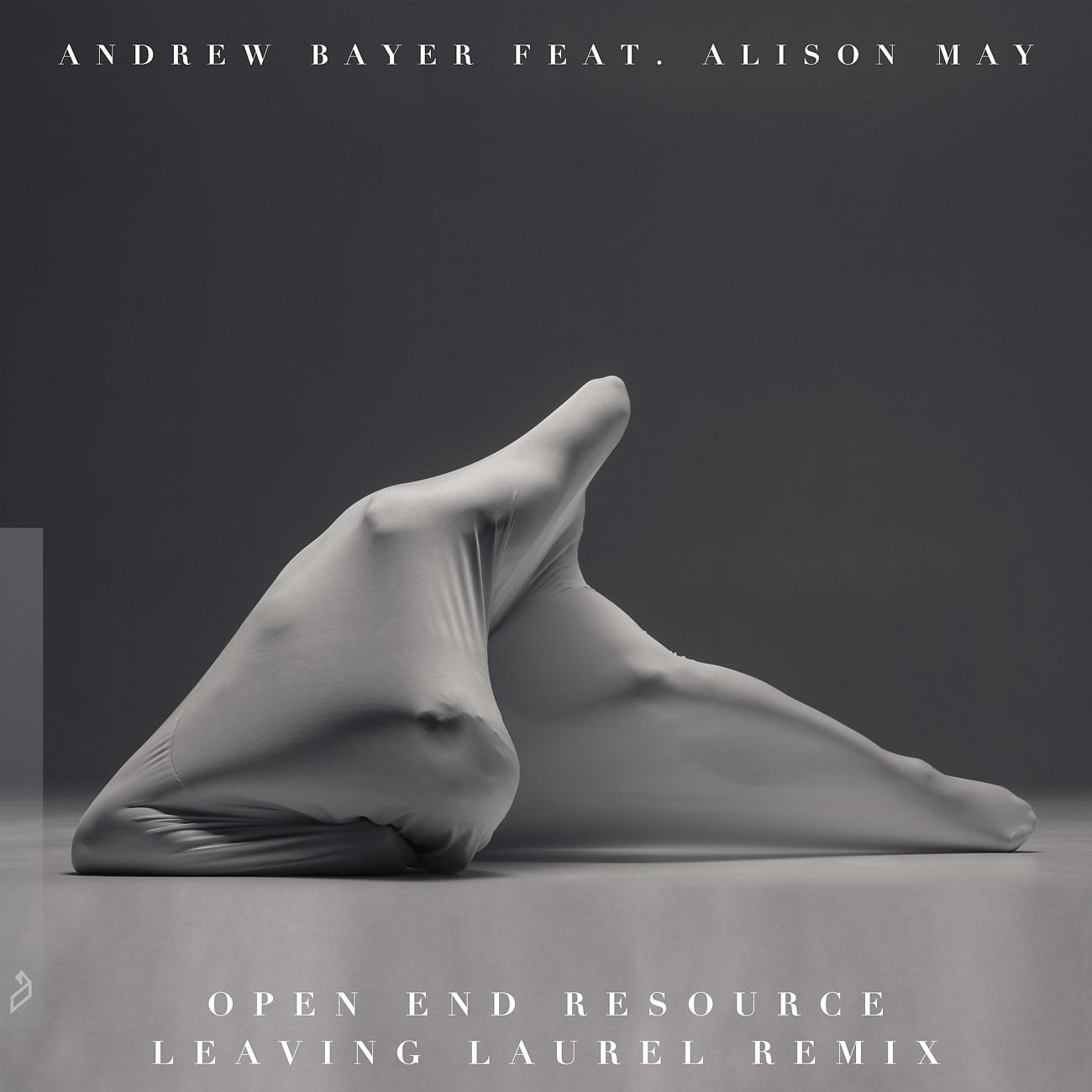 Постер альбома Open End Resource (Leaving Laurel Remix)