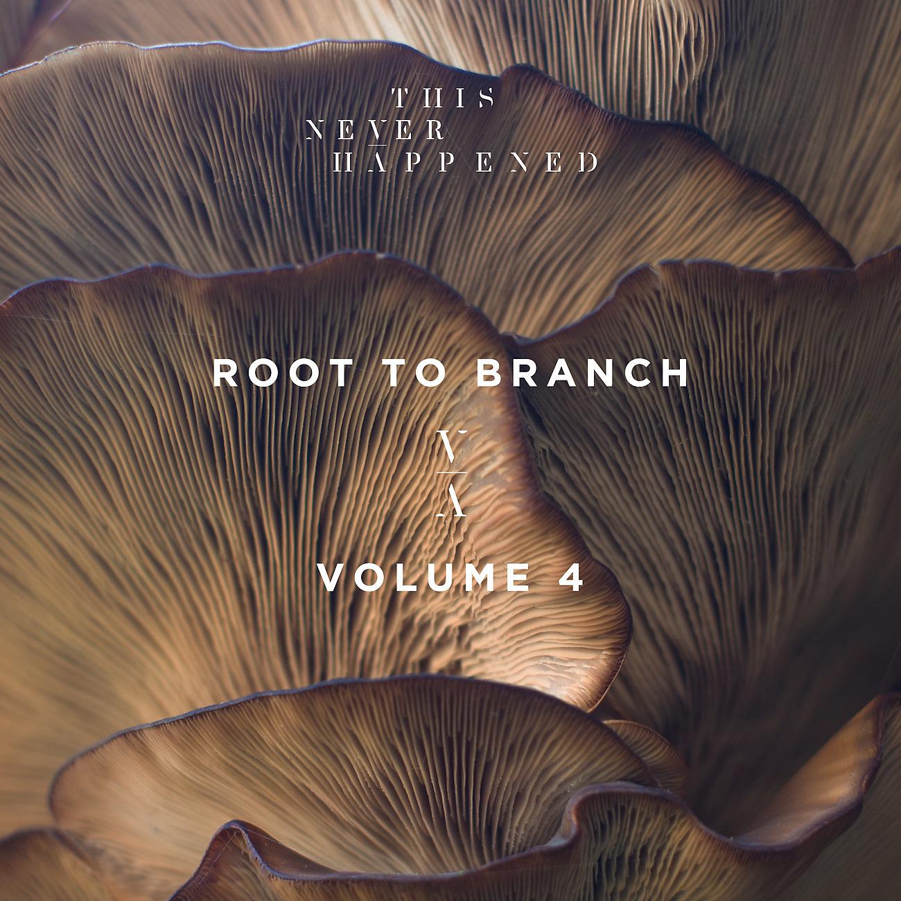 Постер альбома Root to Branch, Vol. 4