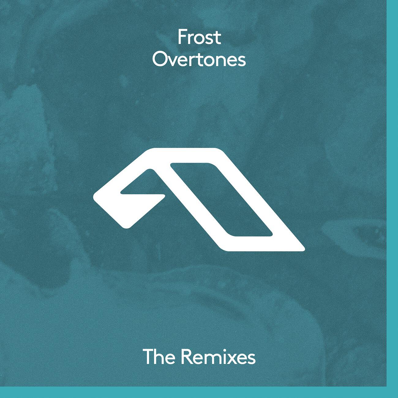 FROST - Overtones (Promnite Extended Mix)