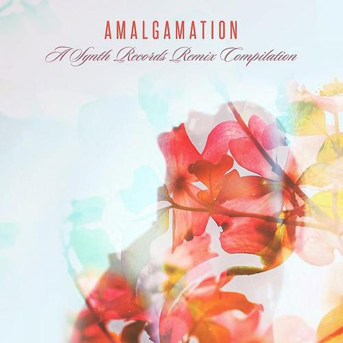 Постер альбома Amalgamation