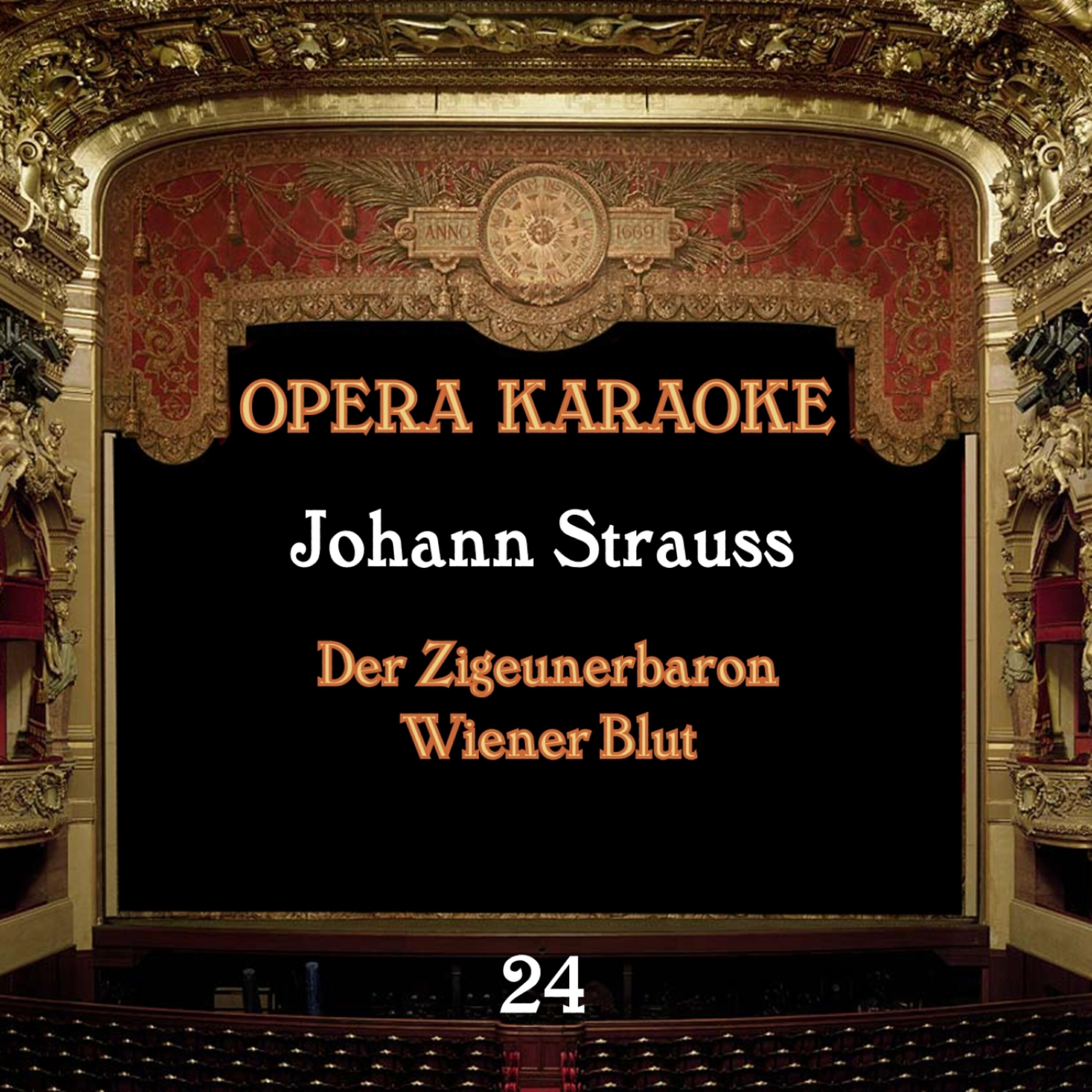 Experts Studio Orchestra - Der Zigeunerbaron: Von des Tajo Strand