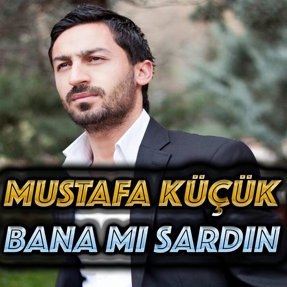 Постер альбома Bana Mı Sardın