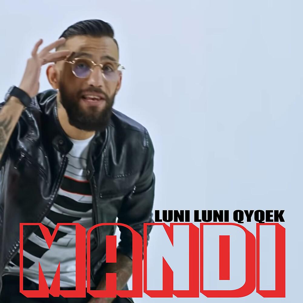 Постер альбома Luni Luni Qyqek