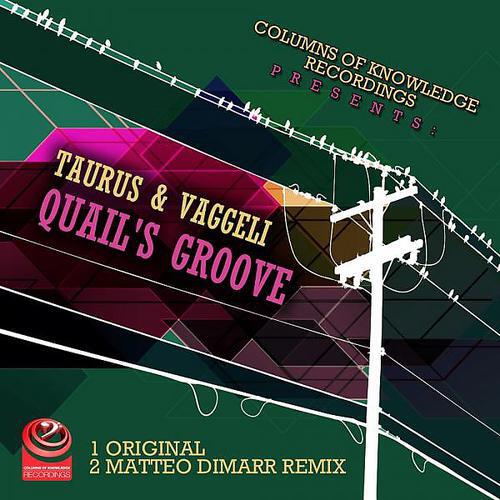 Taurus & Vaggeli - Quail's Groove (Matteo DiMarr Remix)