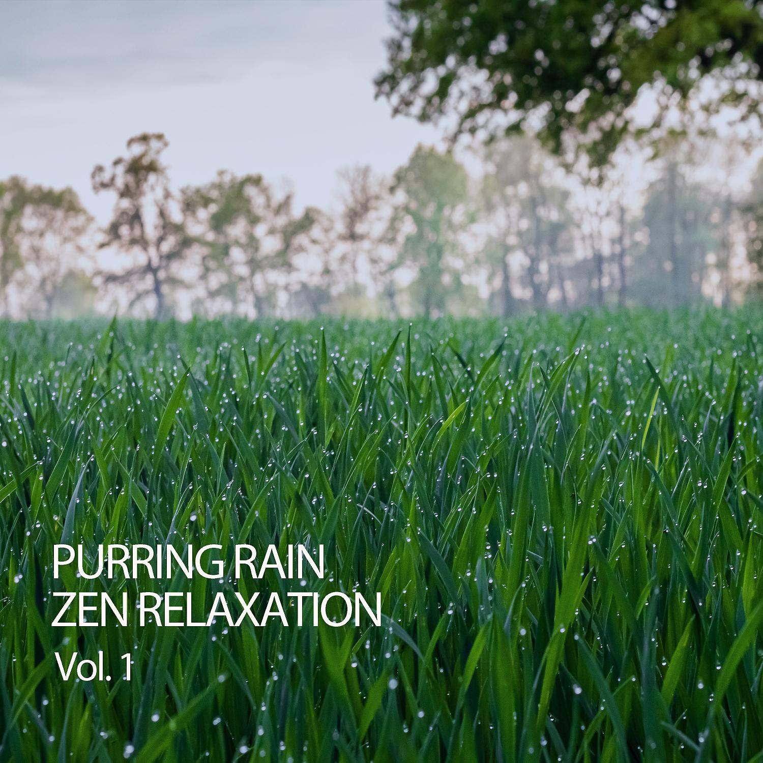 Постер альбома Purring Rain Zen Relaxation Vol. 1