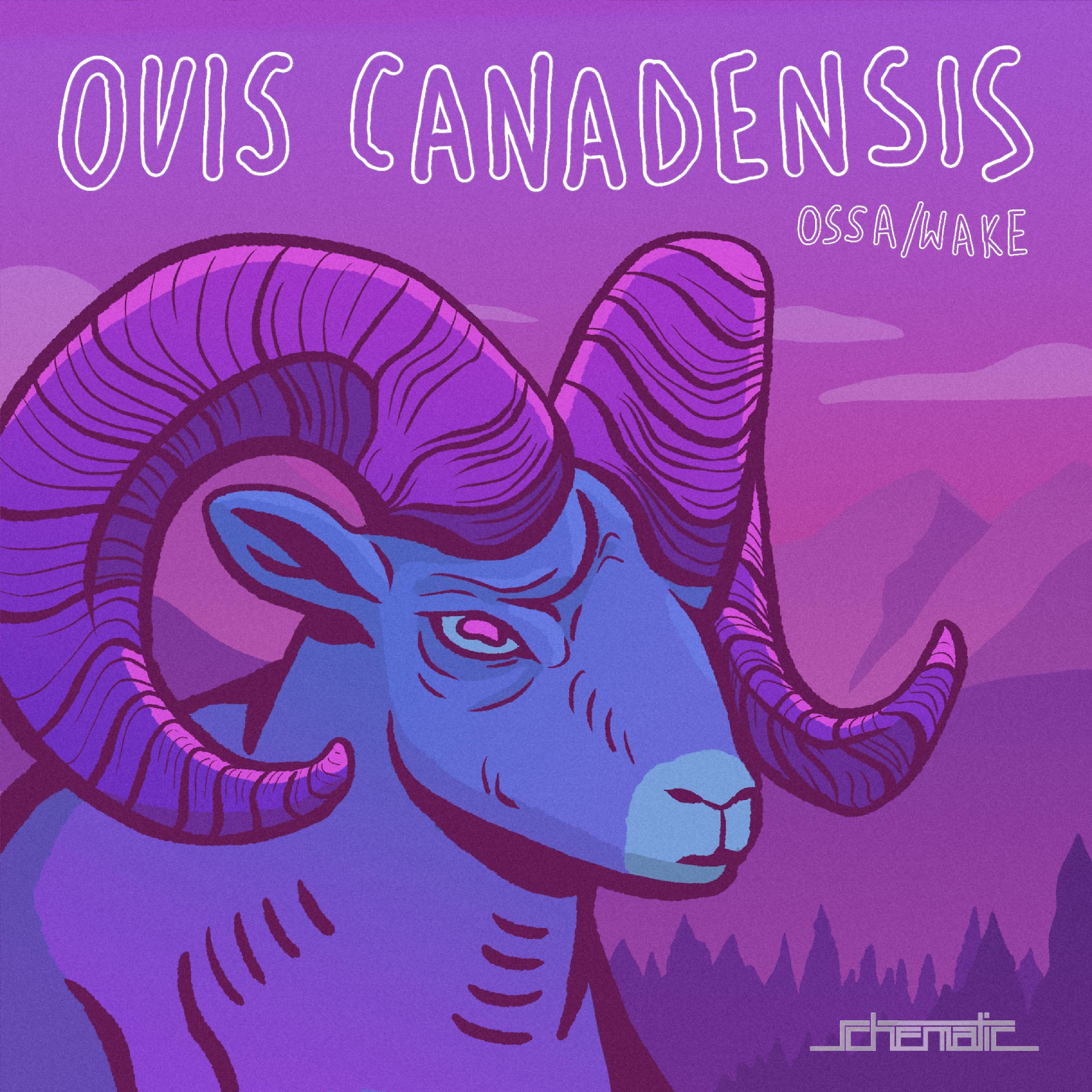 Постер альбома Ovis Canadensis