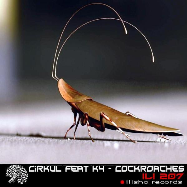 Cirkul - Tun Strassen