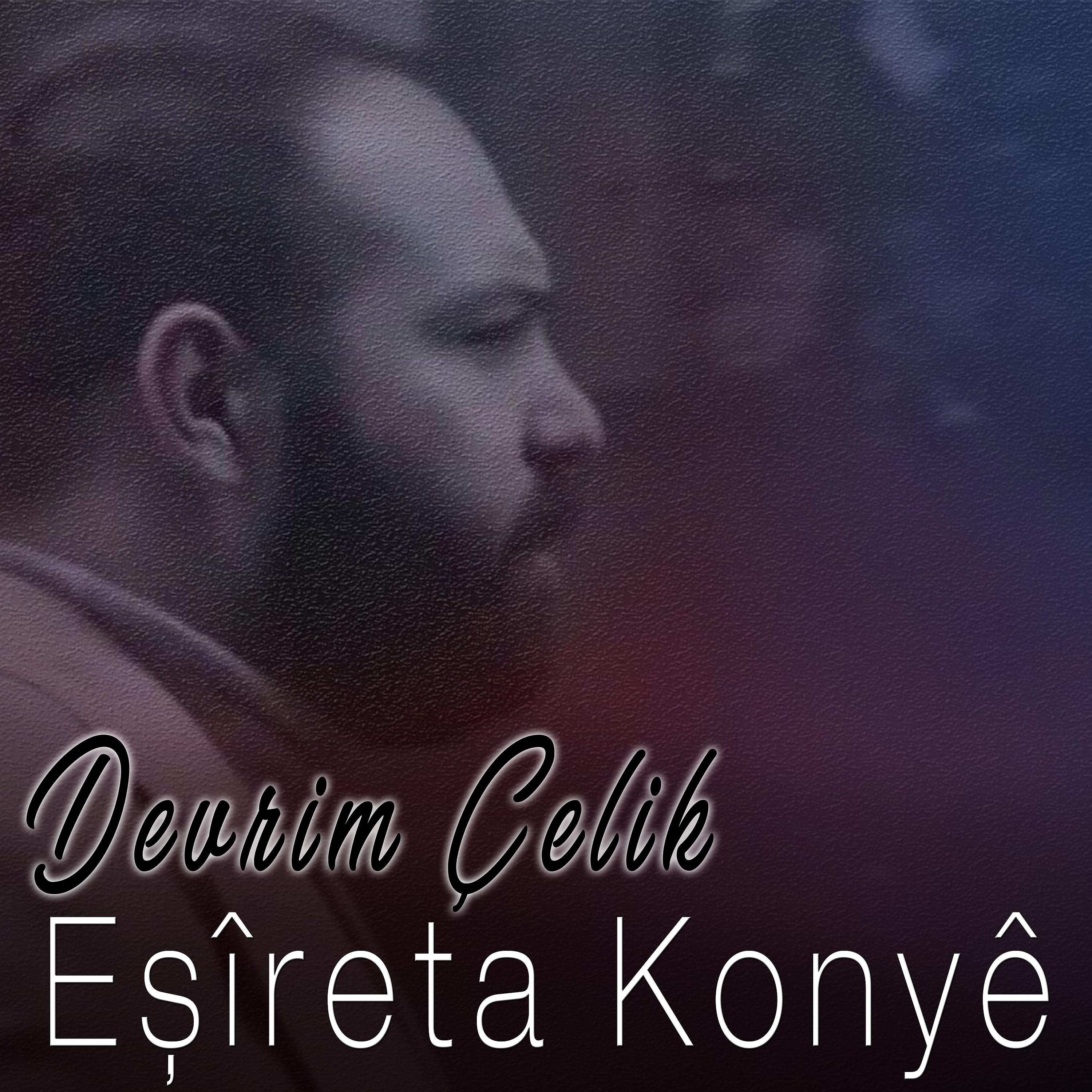 Постер альбома Eşîreta Konyê